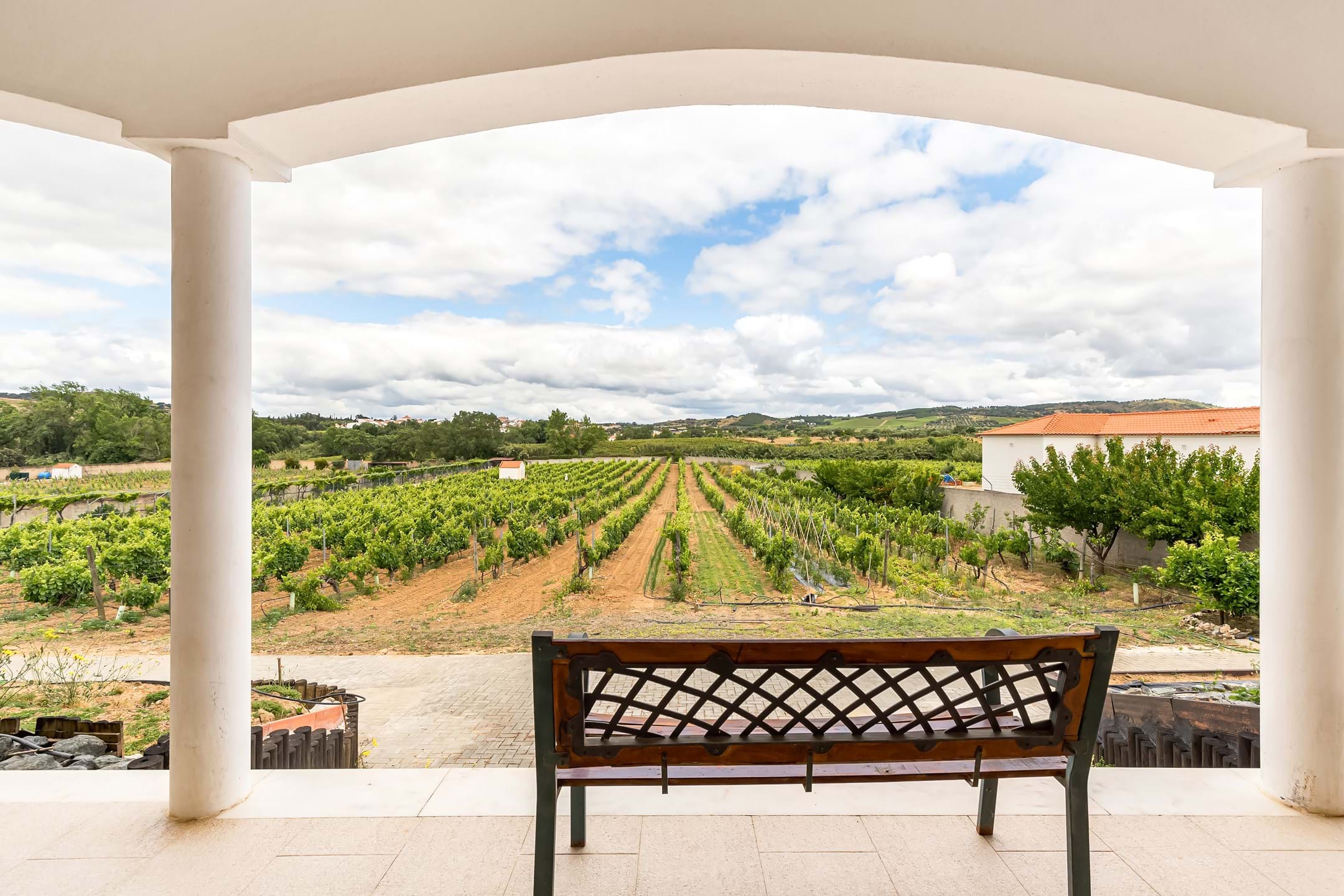 Vidigueira, Beja, 7960-313, PT, 5 Bedrooms Bedrooms, ,4 BathroomsBathrooms,Residential,For Sale,1699252
