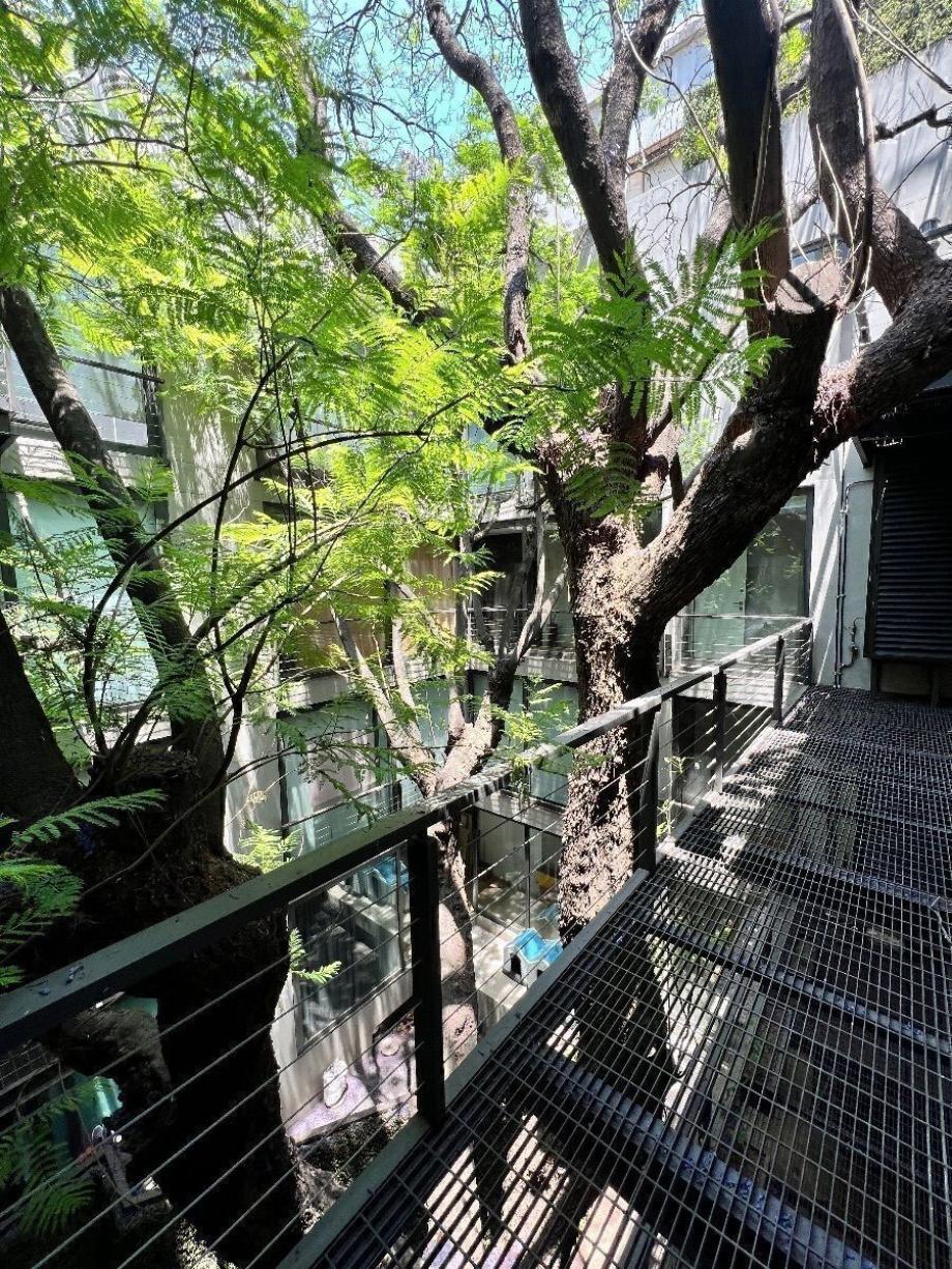 Miguel Hidalgo, Ciudad de México, 11540, Mexico, 2 Bedrooms Bedrooms, ,2 BathroomsBathrooms,Residential,For Sale,1971317