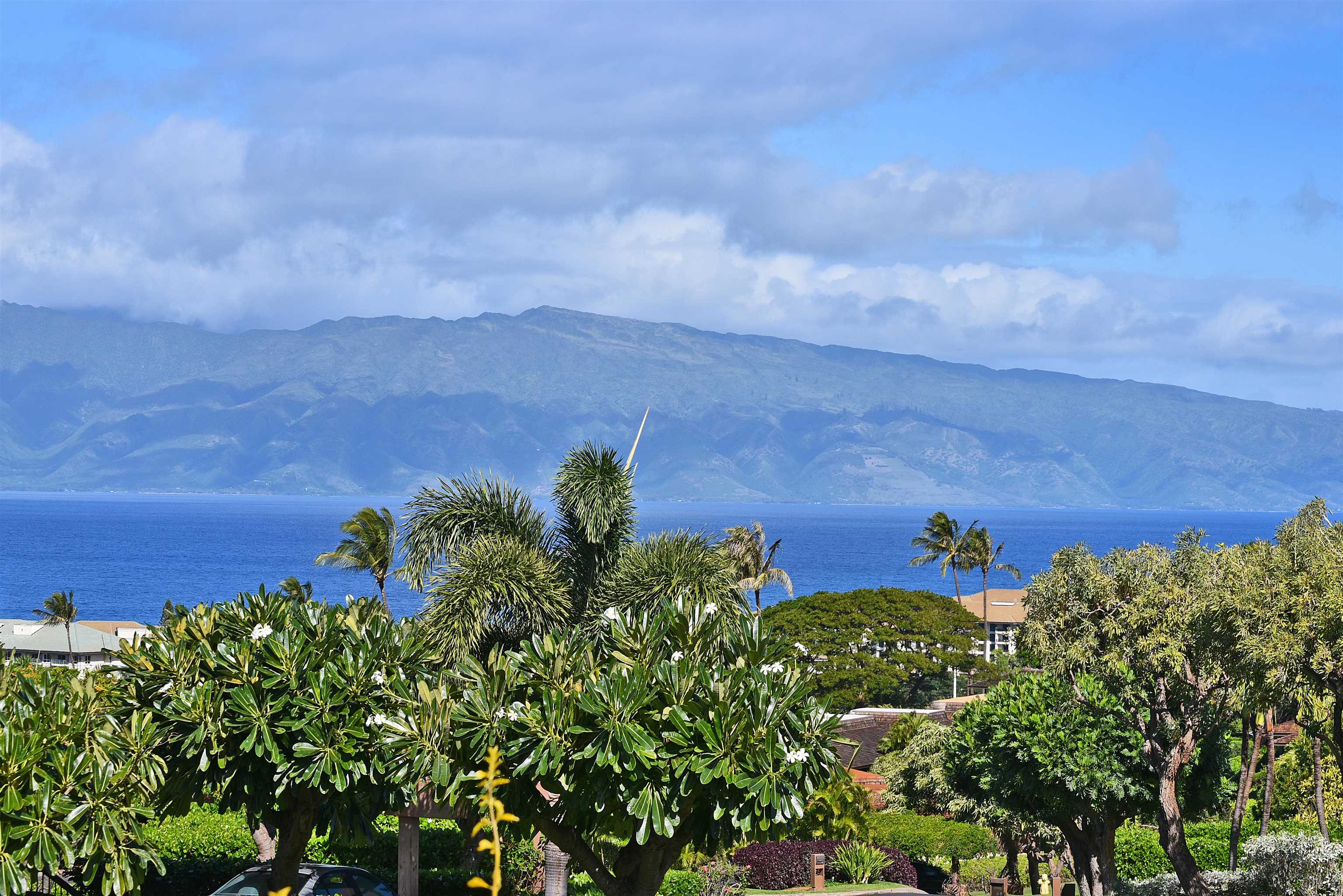 Lahaina, Hawaii, 96761, United States, 2 Bedrooms Bedrooms, ,2 BathroomsBathrooms,Residential,For Sale,1908273