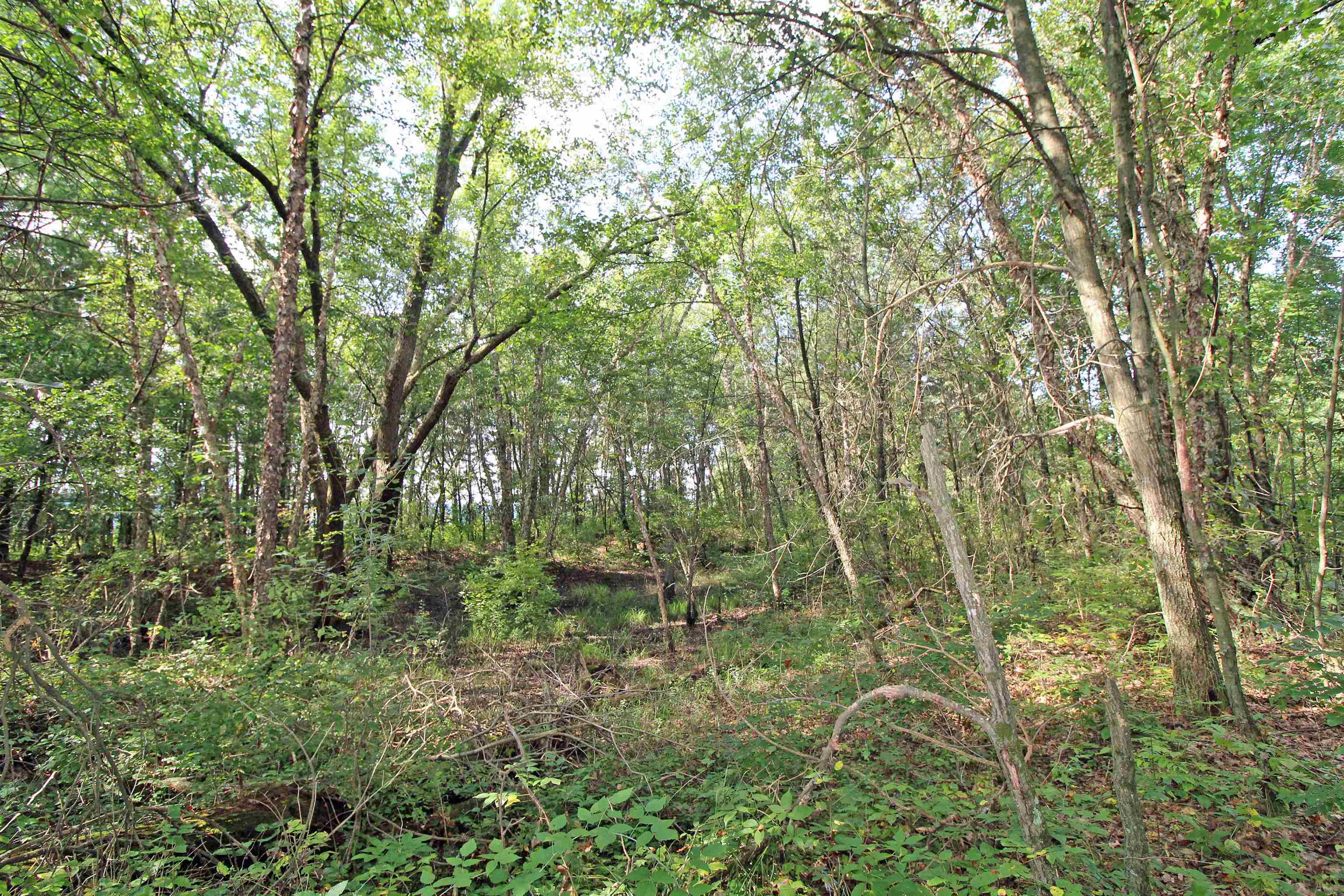 Arena, Wisconsin, 53503, United States, 3 Bedrooms Bedrooms, ,2 BathroomsBathrooms,Residential,For Sale,1980037