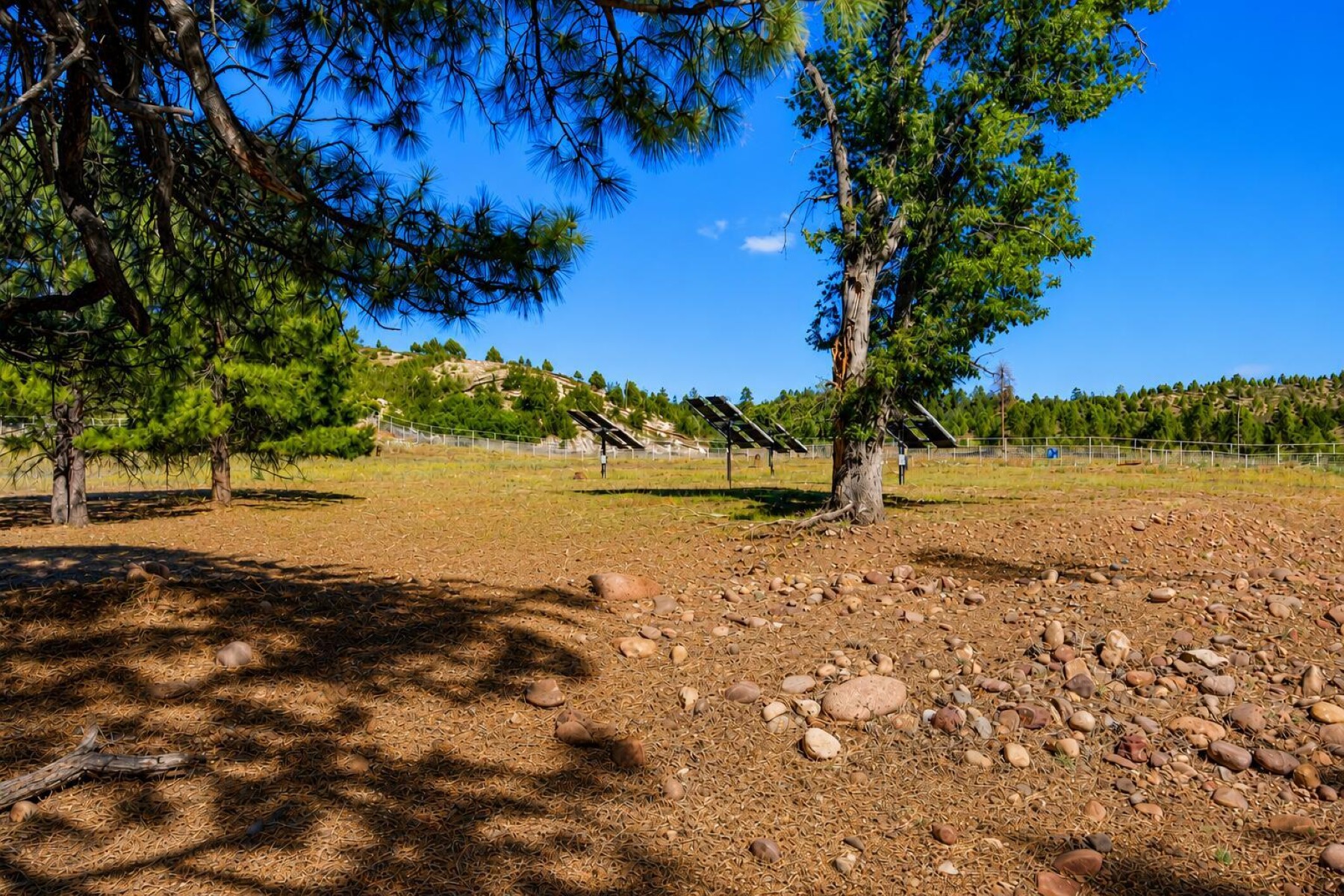  1613 Black Canyon Road¦Heber, AZ - 物件實景