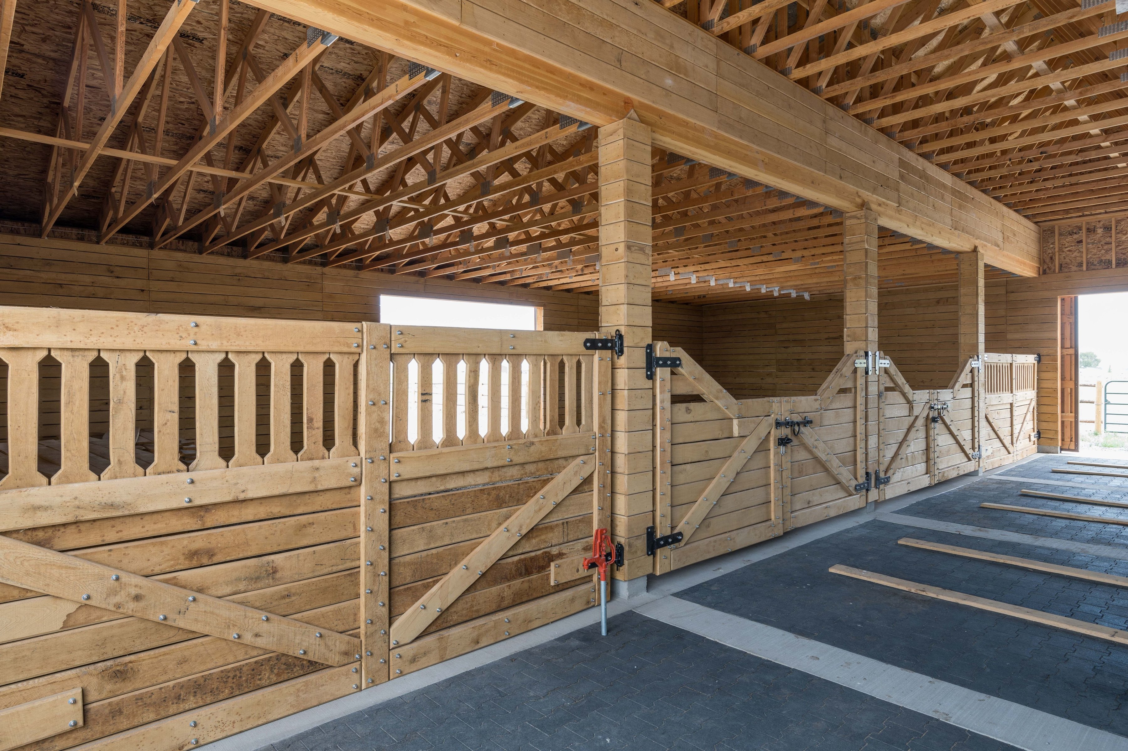  Equestrian Estate at the Base of Mt. Borah - 物件實景