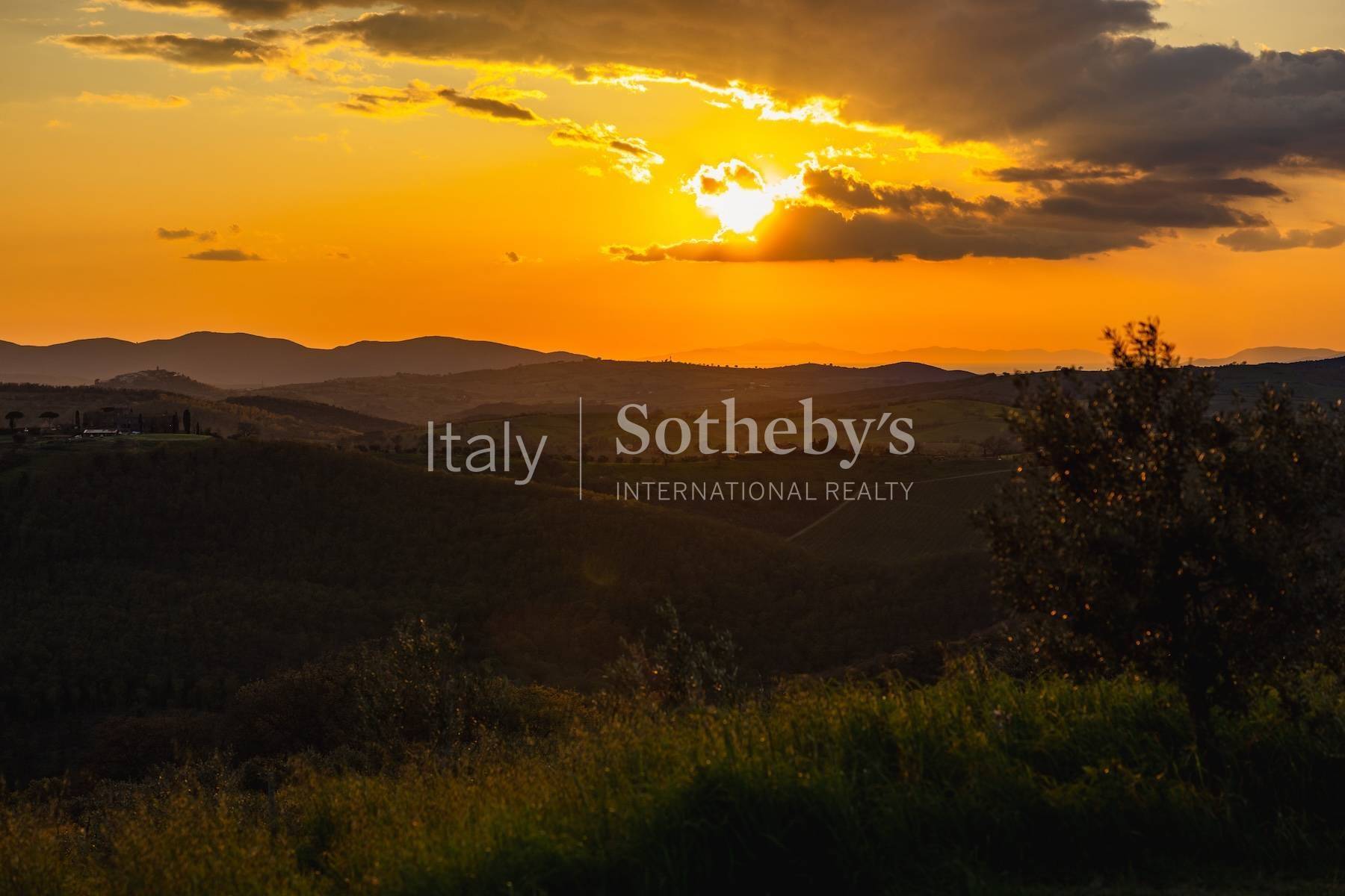  Exclusive wine estate in the Tuscan hills - 物件實景