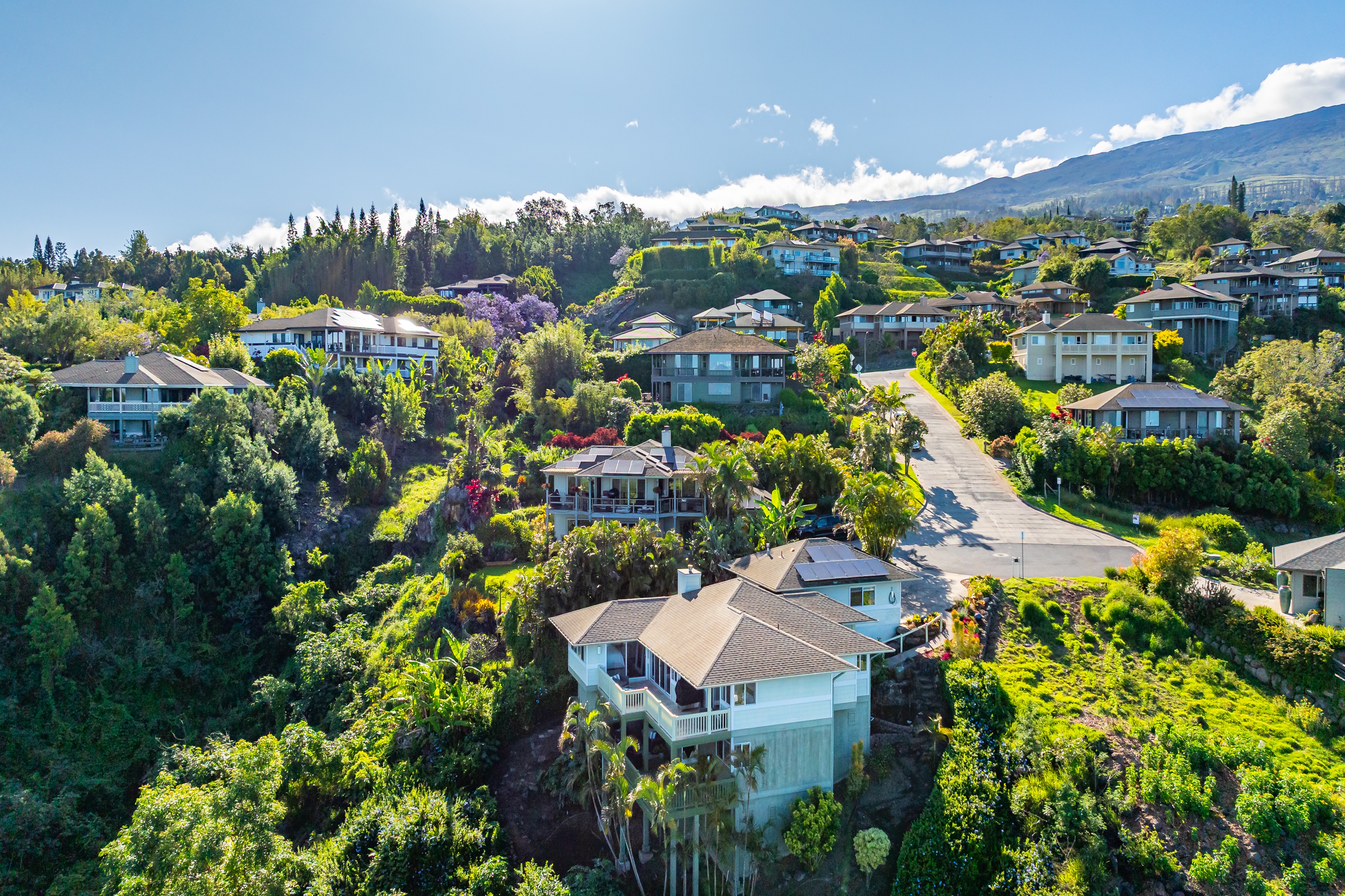  Elevated Kula Retreat with Privacy and Scenic Surroundings - 物件實景