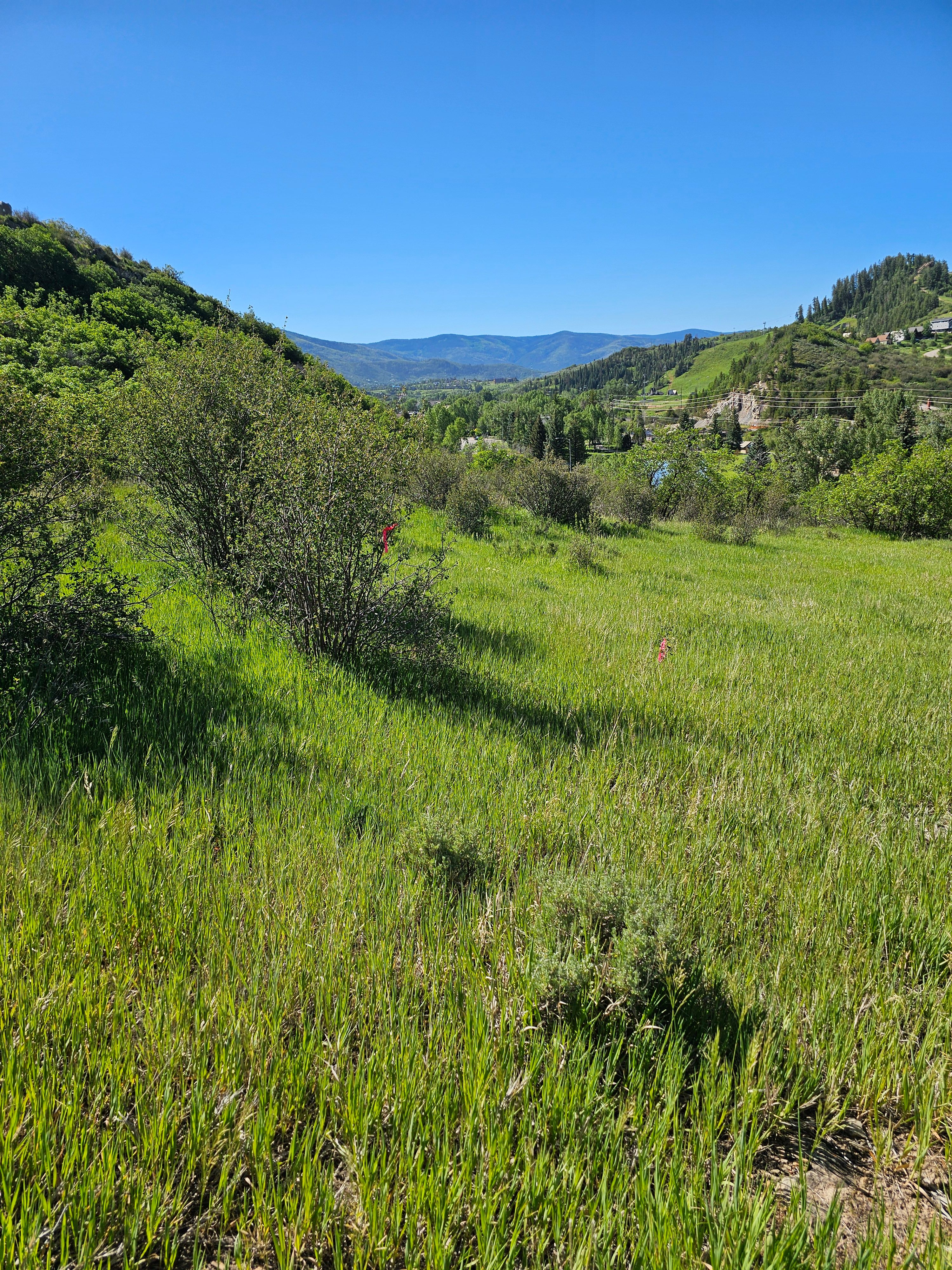  1327 Indian Trail, Steamboat Springs, CO, 80487 - 物件實景