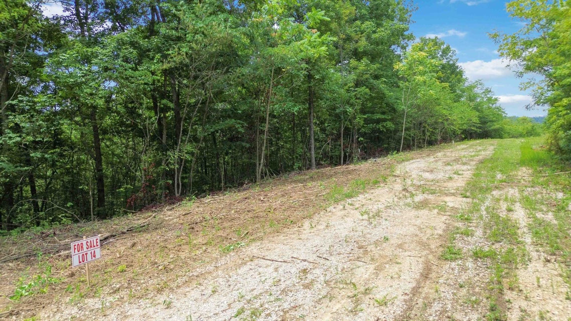 Somerset, Kentucky, 42501, United States, ,Residential,For Sale,1923151