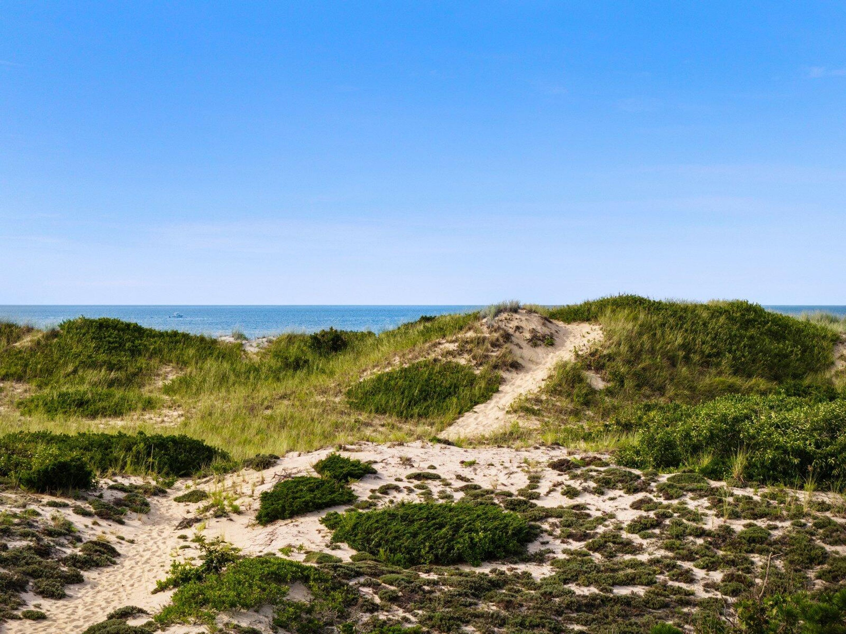  102 Sesuit Neck Road, East Dennis, MA, 02641 - 物件實景