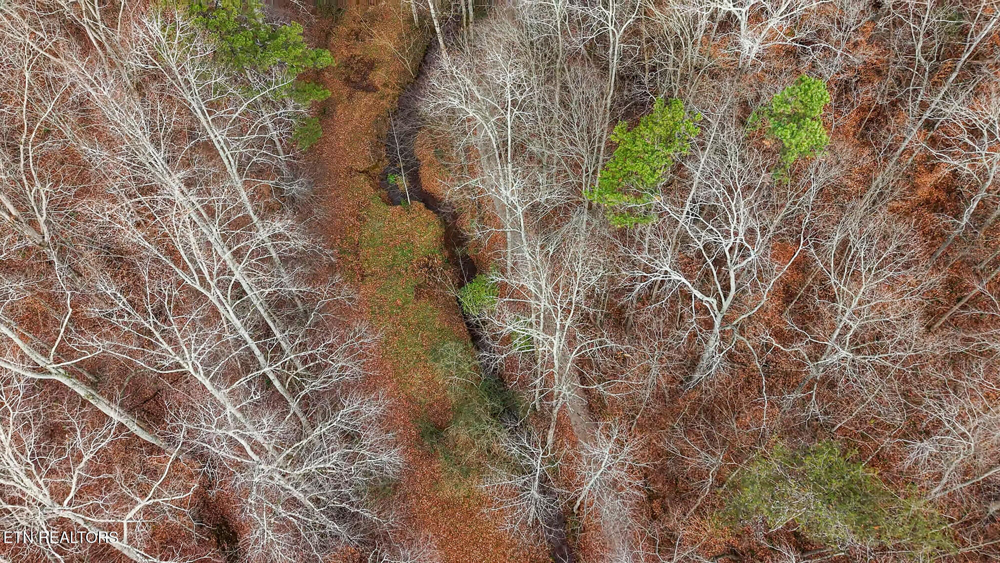 Englewood, Tennessee, 37329, United States, 2 Bedrooms Bedrooms, ,3 BathroomsBathrooms,Residential,For Sale,2002441