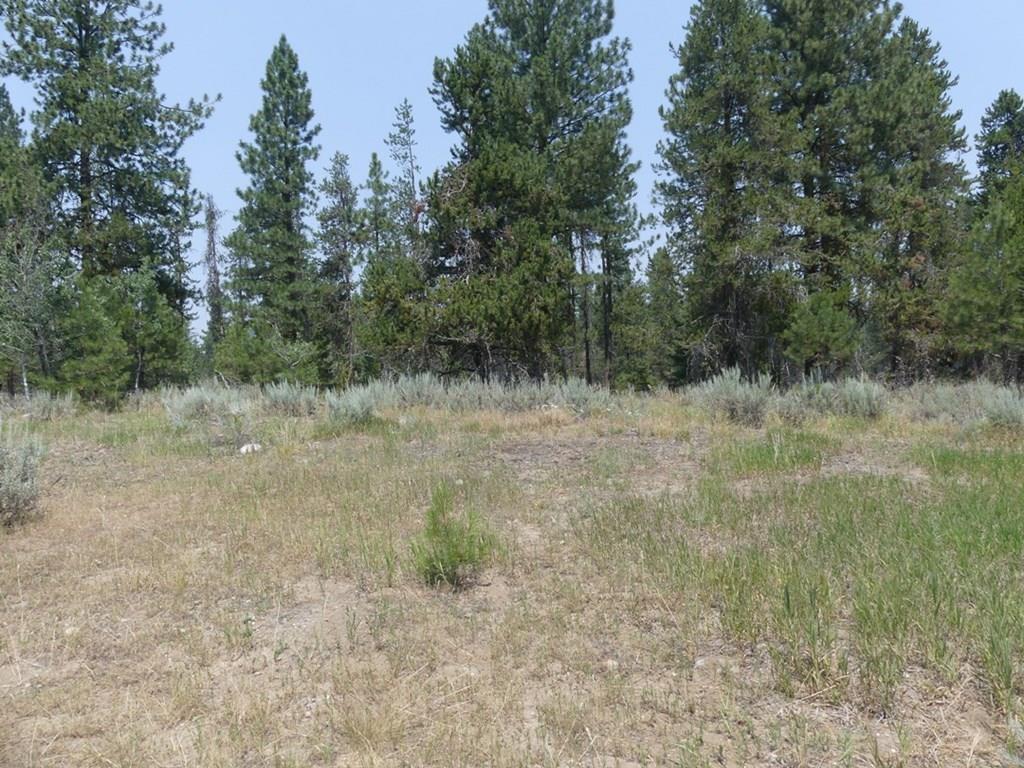 McCall, Idaho, 83638, United States, ,Land,For Sale,2005964