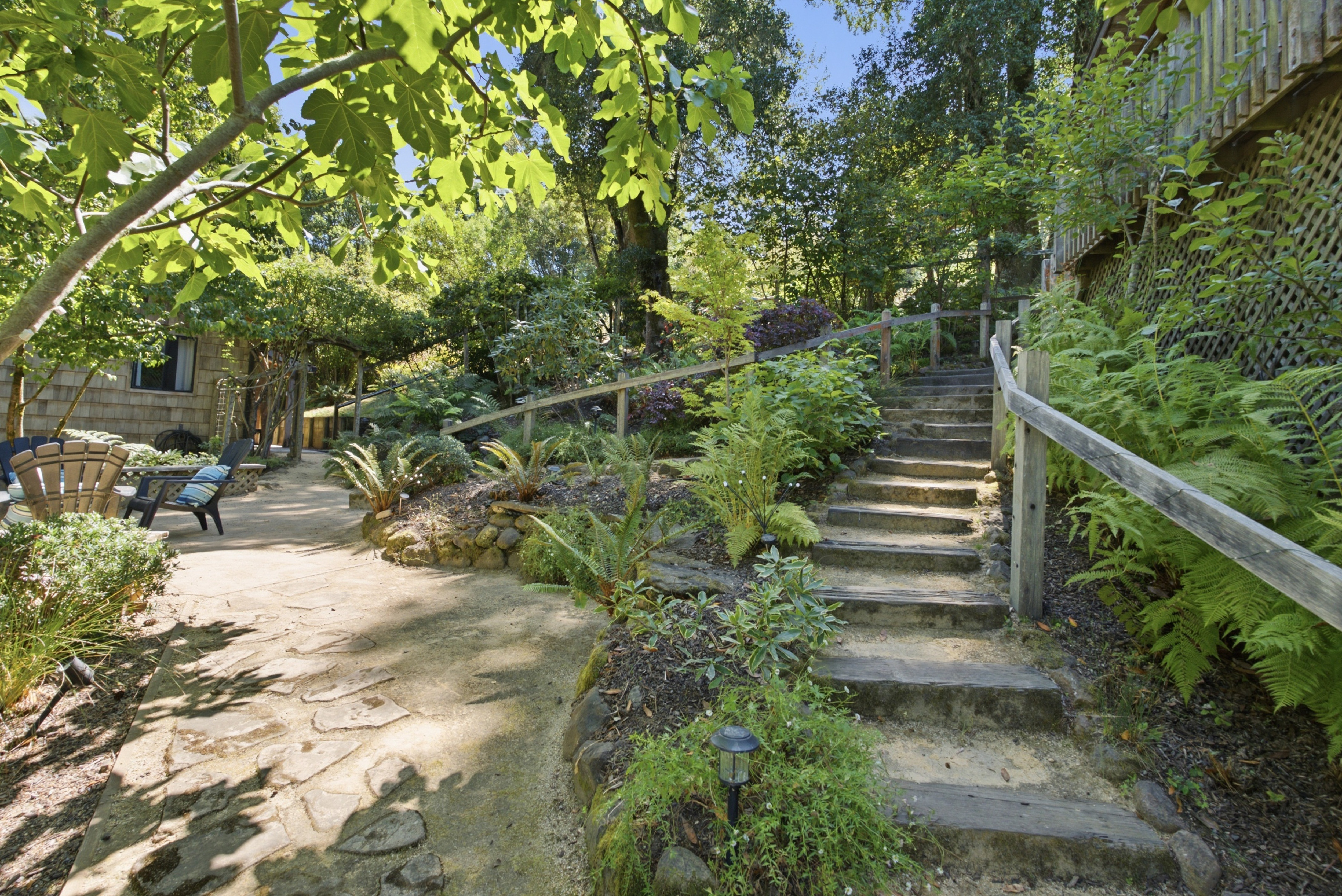  West Marin Legacy Estate - 物件實景