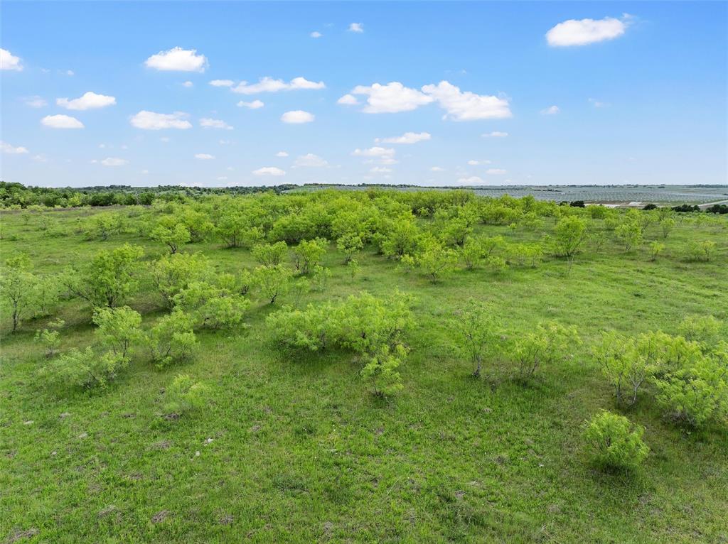 Lott, Texas, 76656, United States, ,Land,For Sale,1776804