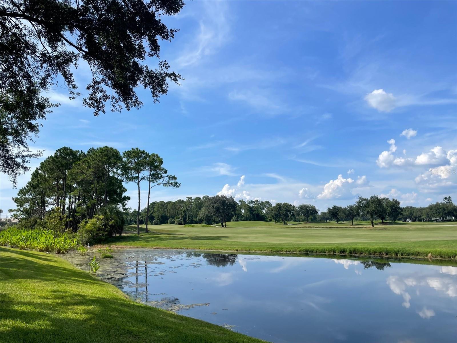 CELEBRATION, Florida, 34747, United States, 3 Bedrooms Bedrooms, ,3 BathroomsBathrooms,Residential,For Sale,1921011