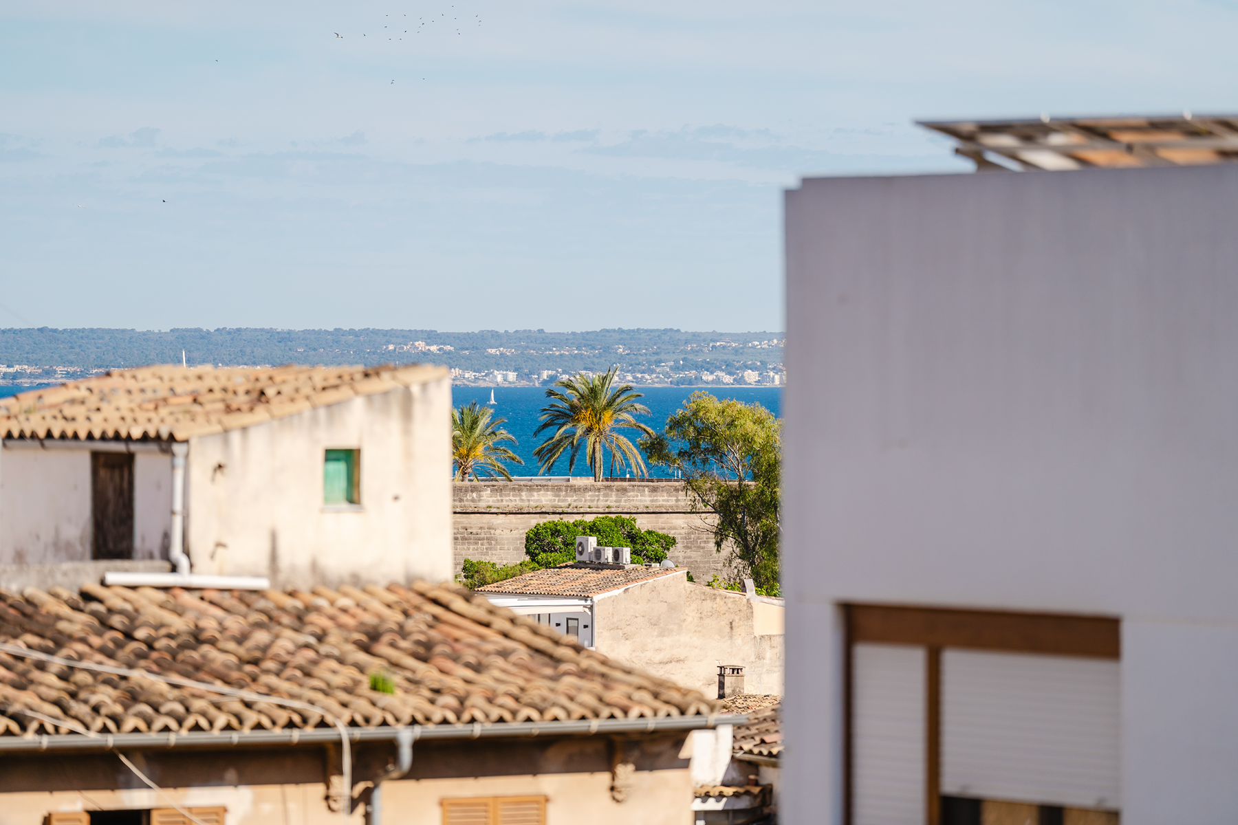  Penthouse loft with terrace and sea views in Santa Catalina, Palma - 物件實景