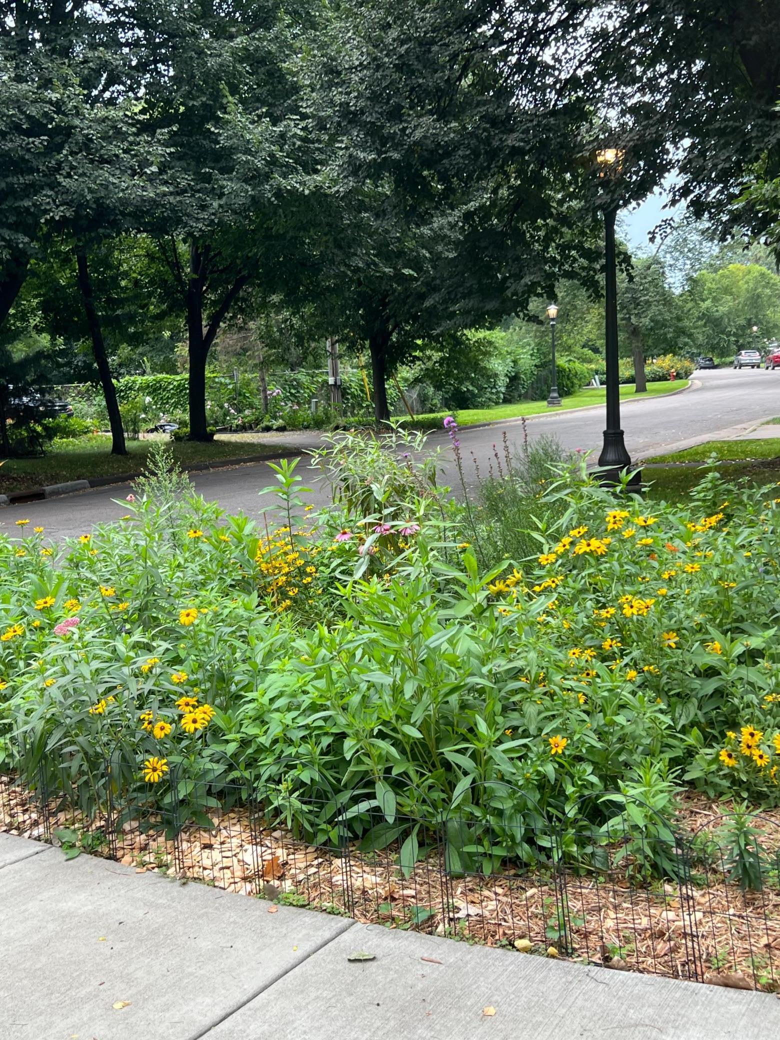 Saint Paul, Minnesota, 55104, United States, 3 Bedrooms Bedrooms, ,1 BathroomBathrooms,Residential,For Sale,1988037