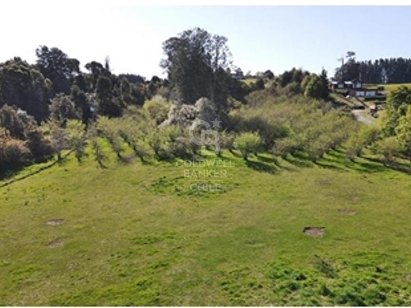 Frutillar, Chile, ,Residential,For Sale,1885462