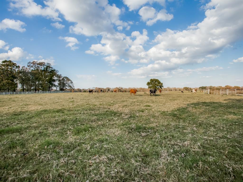 1370 Vzcr 4907, Ben Wheeler, Texas, 75754, United States, 11 Bedrooms Bedrooms, ,14 BathroomsBathrooms,Land,For Sale,1370 Vzcr 4907,1663895