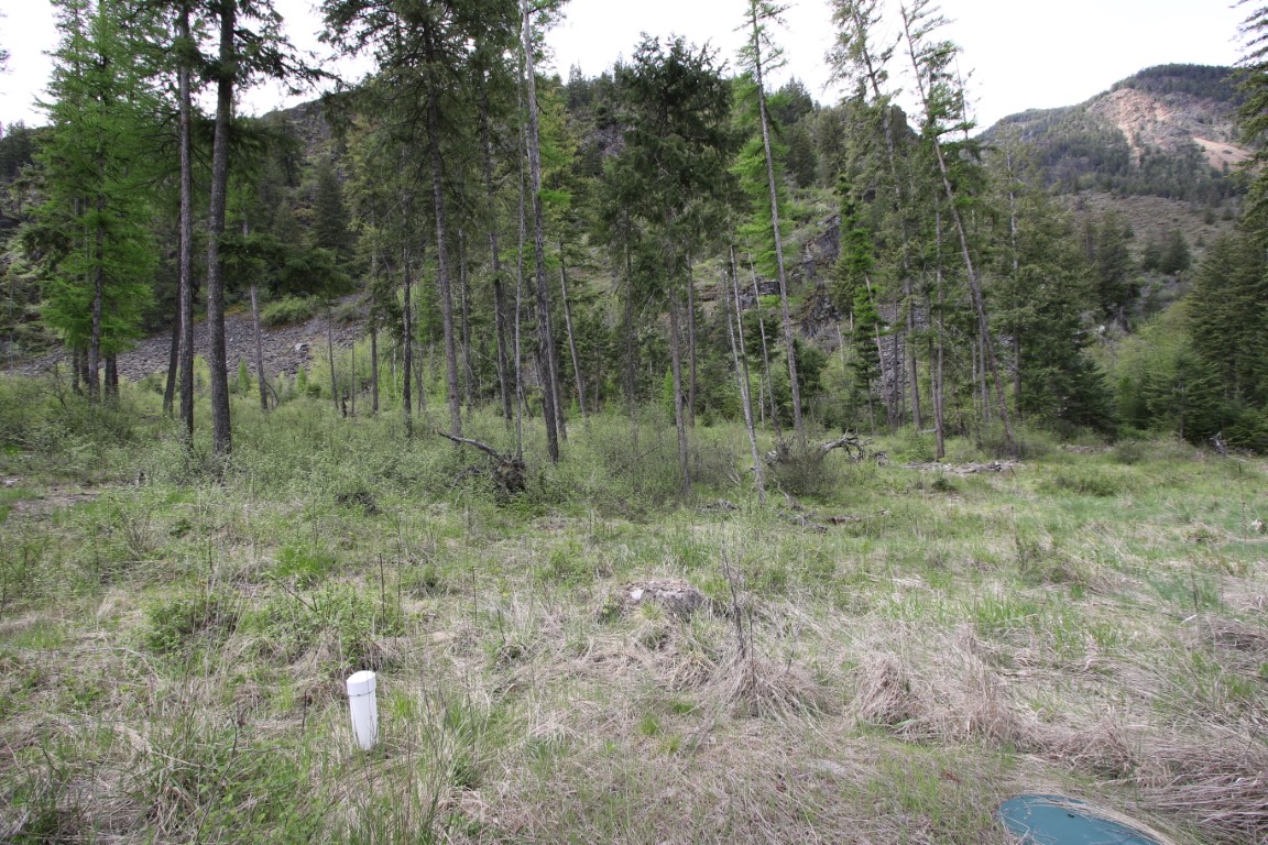 Plains, Montana, 59859, United States, ,Residential,For Sale,1921183