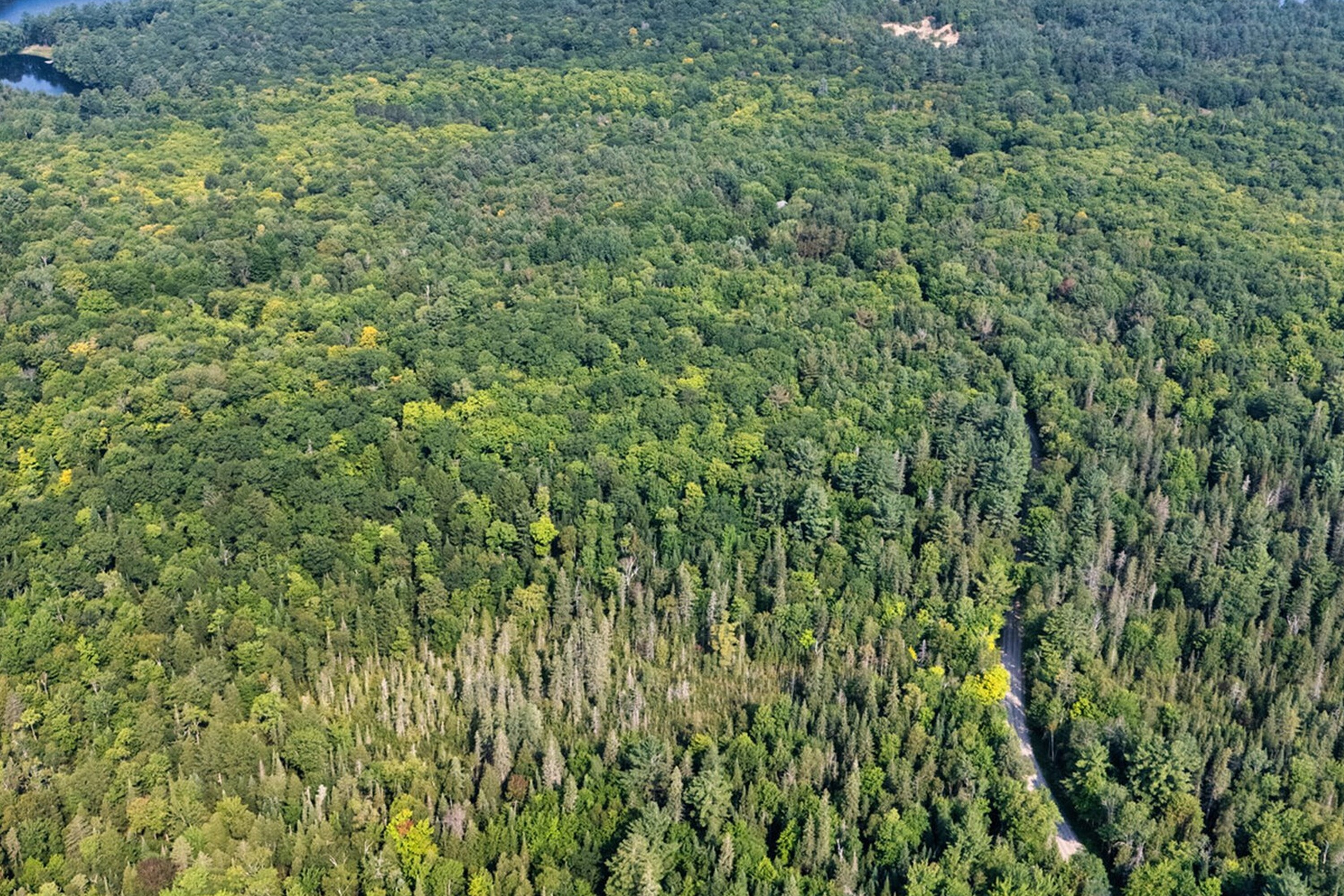  Pristine Lake of Bays Acreage - 物件實景