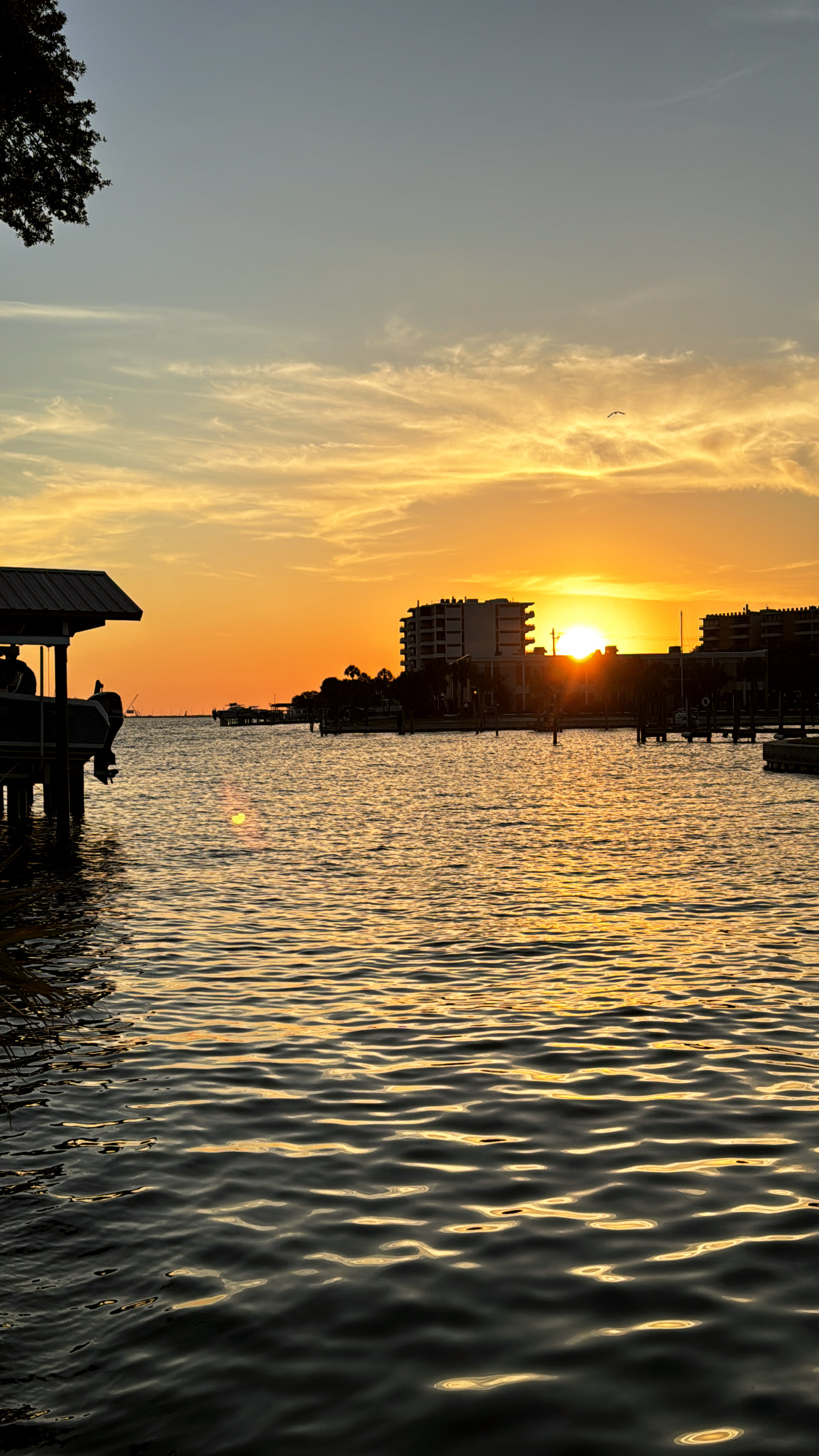 Tampa, Florida, 33609, United States, ,Land,For Sale,1976610