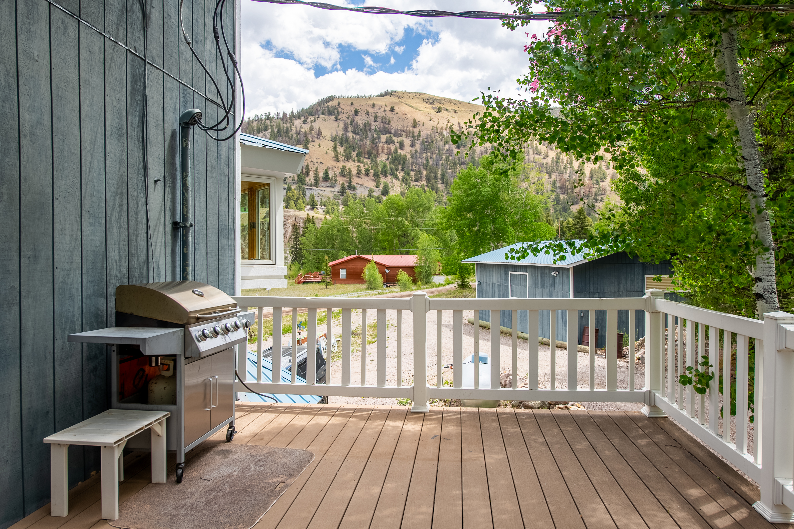  2079 Hummingbird Lane, Lake City, CO, 81235 - 物件實景