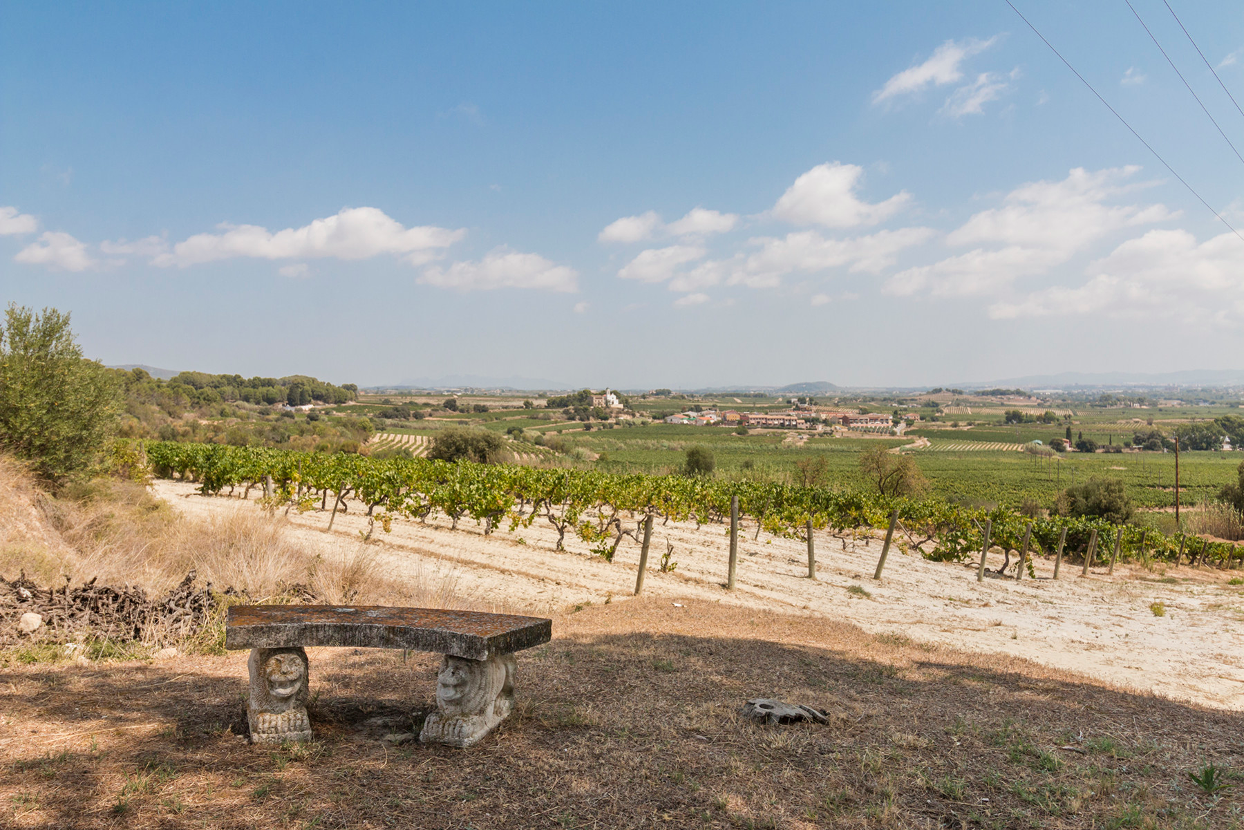  Historic Winery Estate with Vineyards in Penedes for Sale - 物件實景