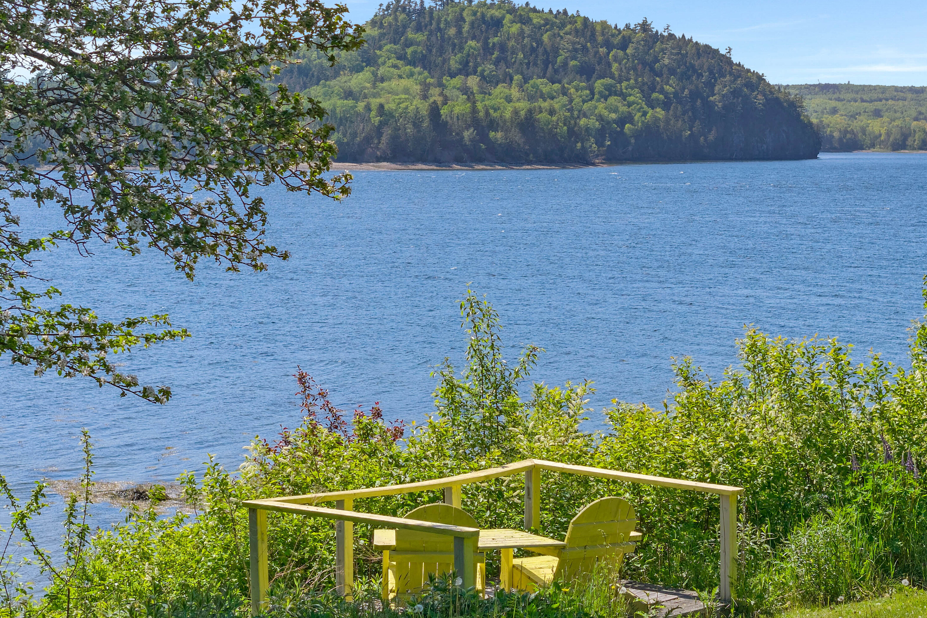  Oak Bay, Charlotte County - 物件實景