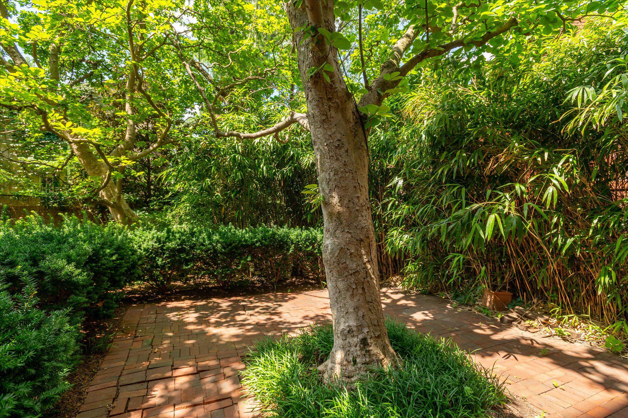  1661 Crescent Place NW, Washington, DC, 20009 - 物件實景