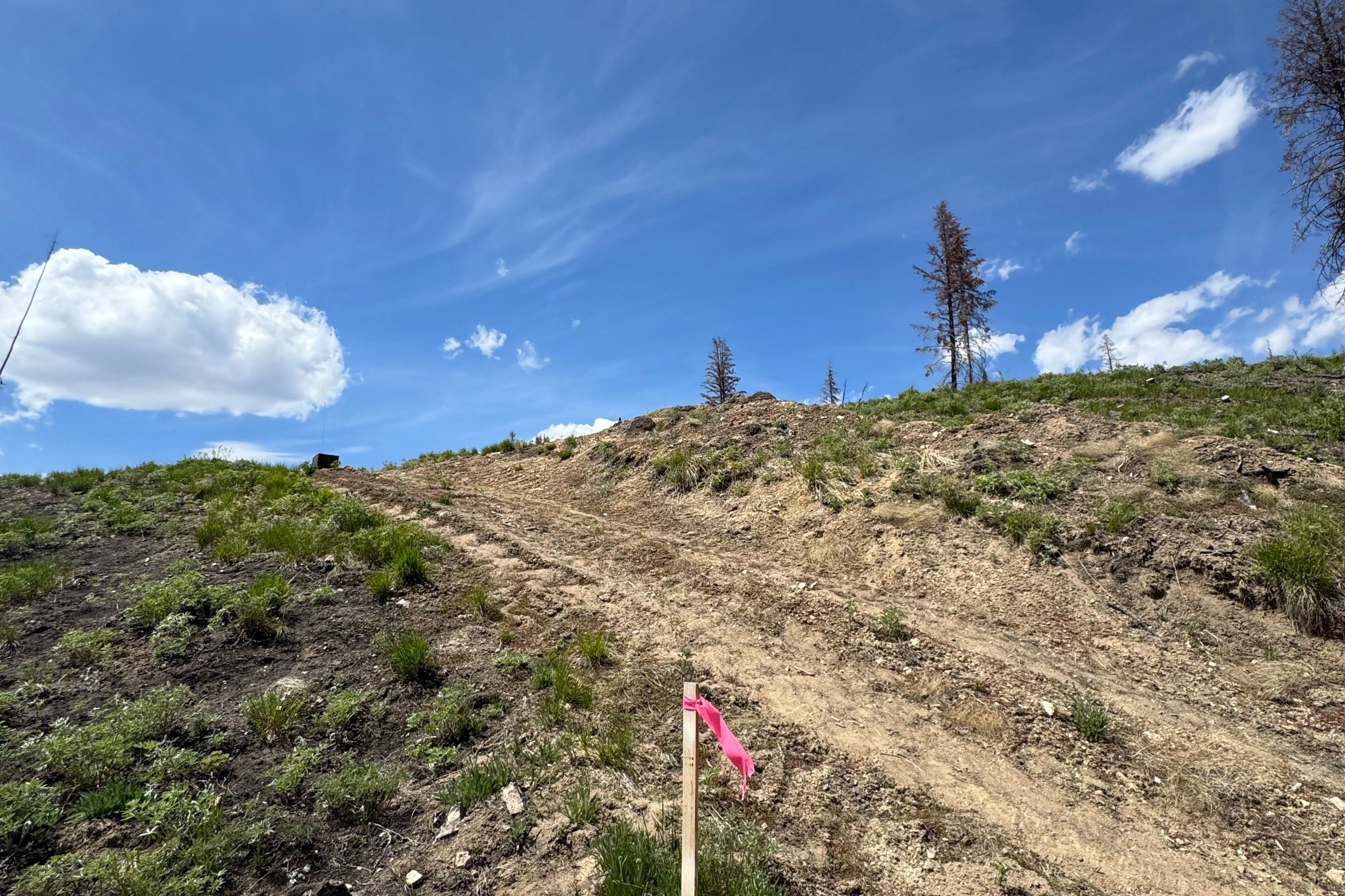  Rare Sawtooth Basin Homesite Near Stanley - 物件實景