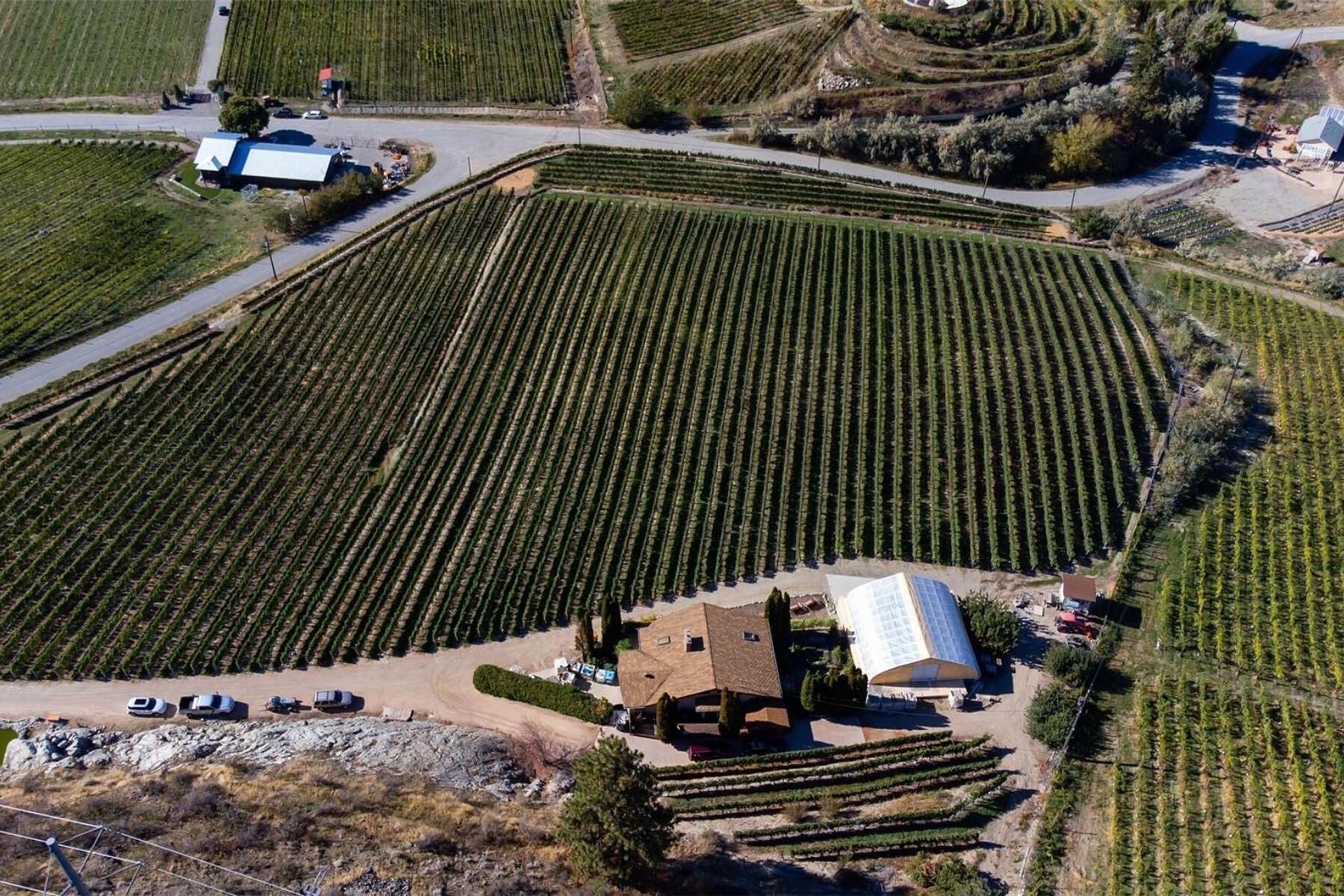  Boutique Okanagan Winery - 物件實景