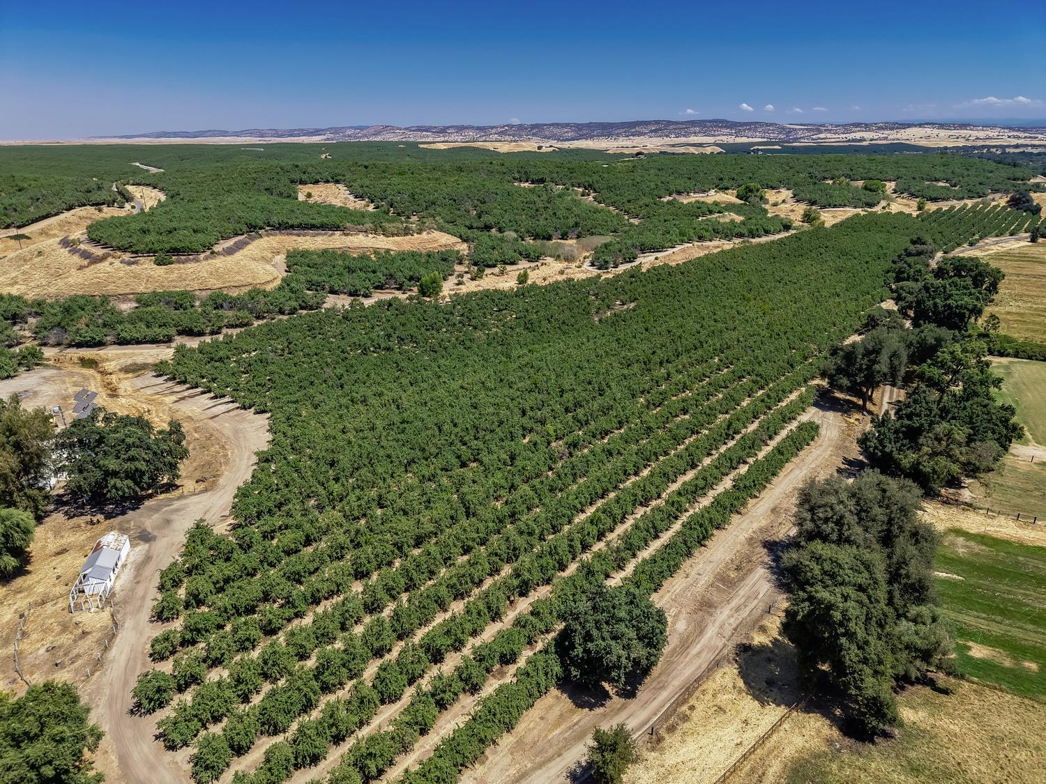 Oakdale, California, 95361, United States, 3 Bedrooms Bedrooms, ,2 BathroomsBathrooms,Residential,For Sale,1982799