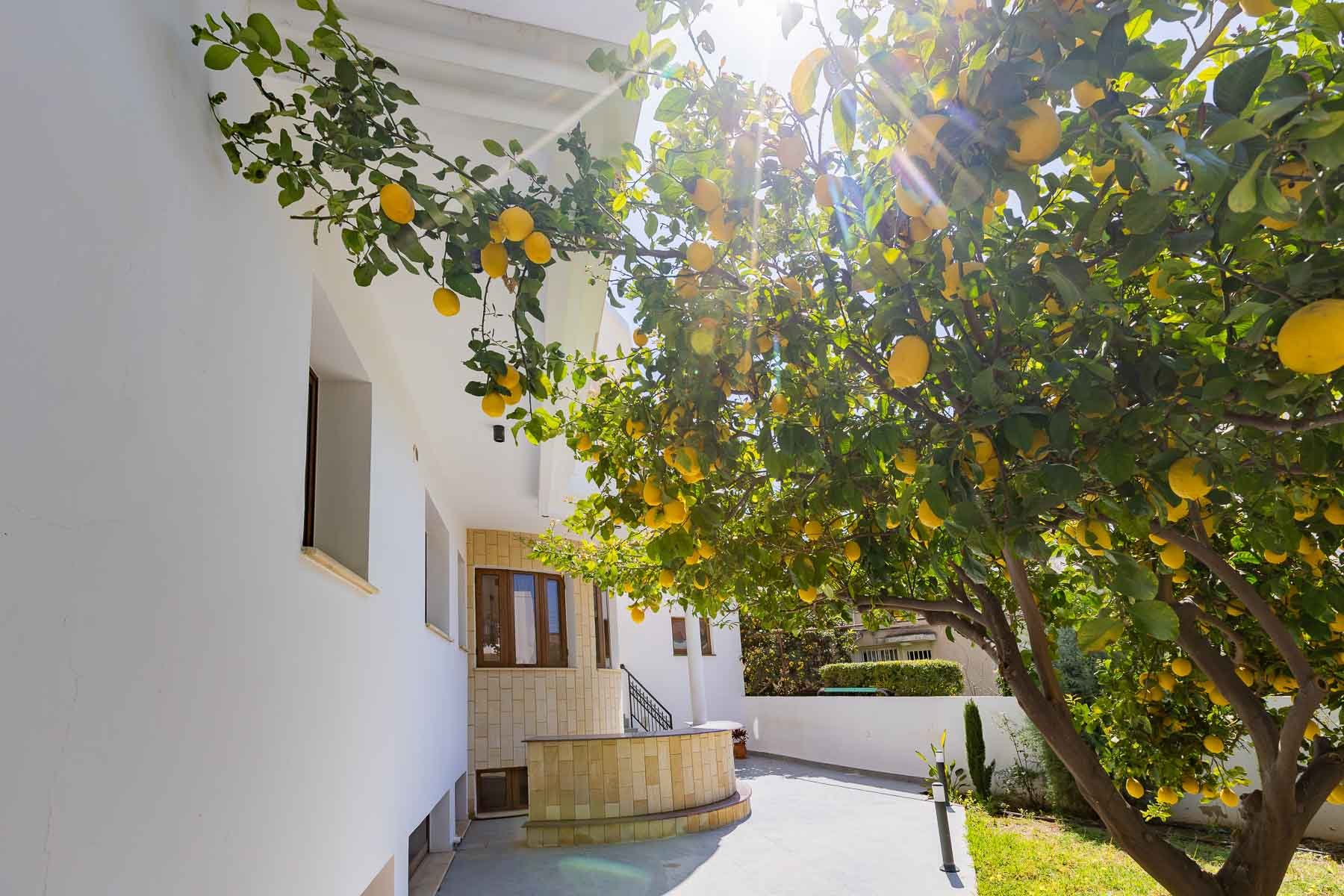 Six Bedroom Private Villa in Limassol - 物件實景