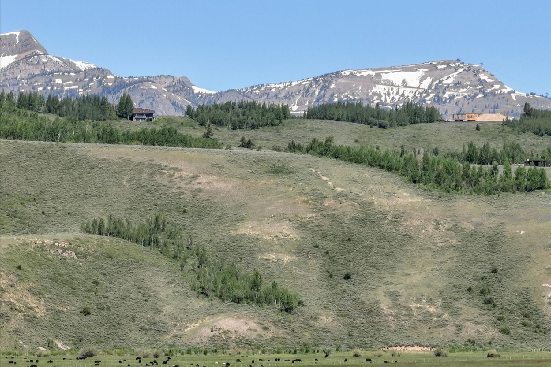  The Mead Ranch - 物件實景