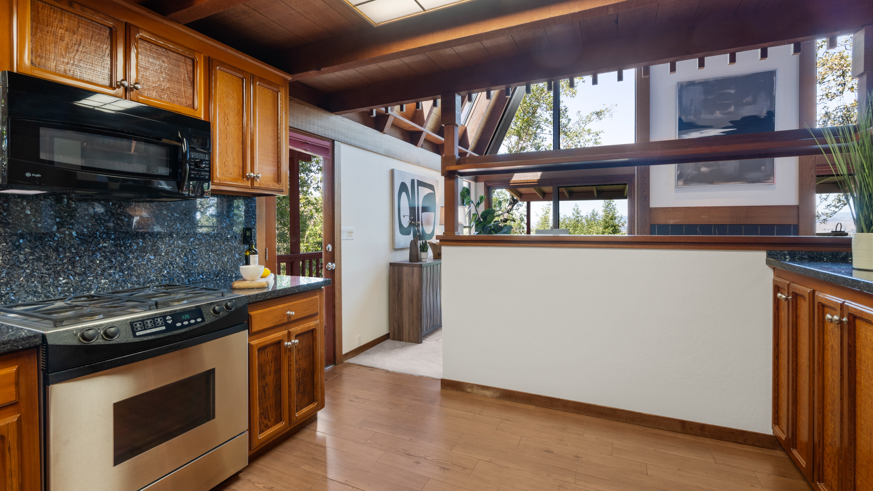  Panoramic Views in Private East Novato - 物件實景