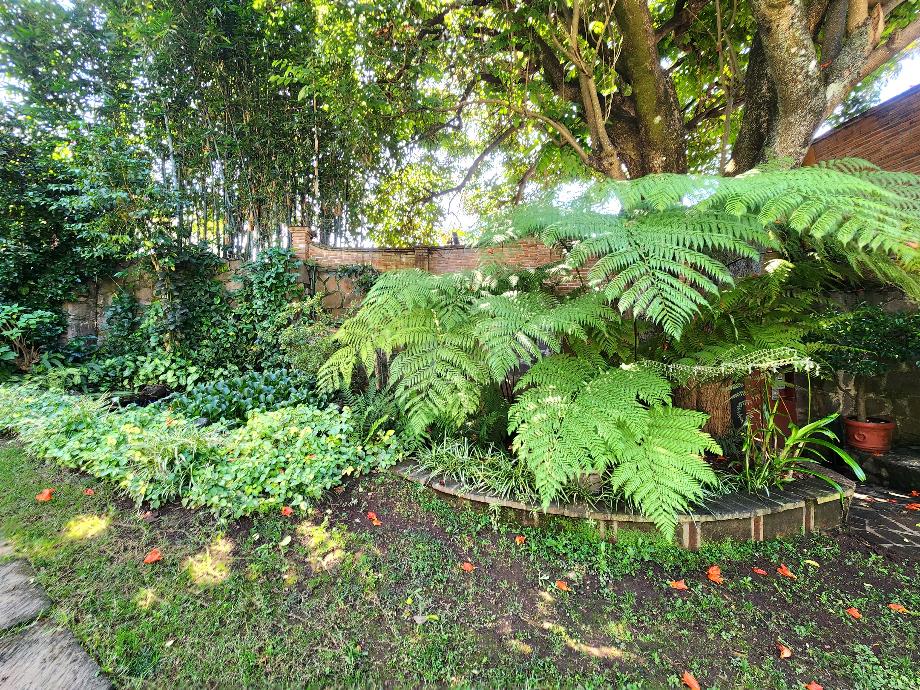 Valle de Bravo, Estado de méxico, 51200, Mexico, 4 Bedrooms Bedrooms, ,5 BathroomsBathrooms,Residential,For Sale,1986473