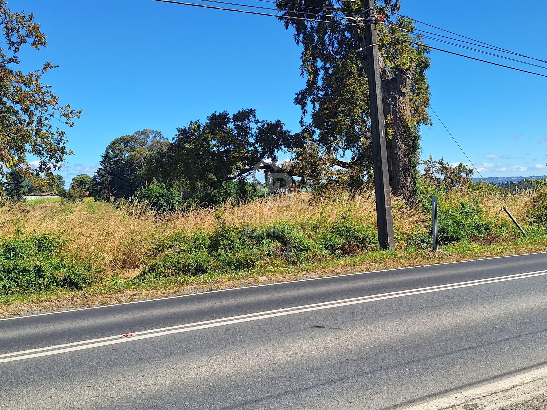Osorno, Chile, ,Land,For Sale,1972838