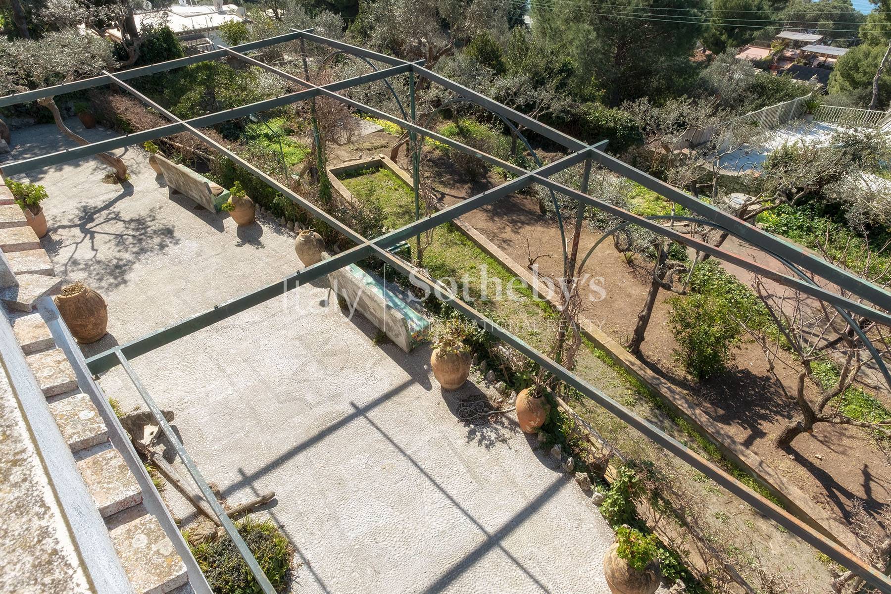  Wonderful villa with garden and seaview in Anacapri - 物件實景