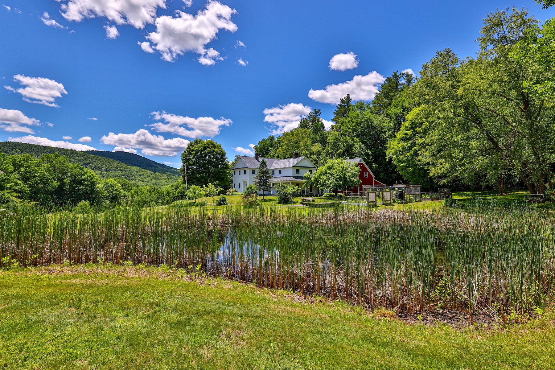 201 Chester Hill Road - 物件實景