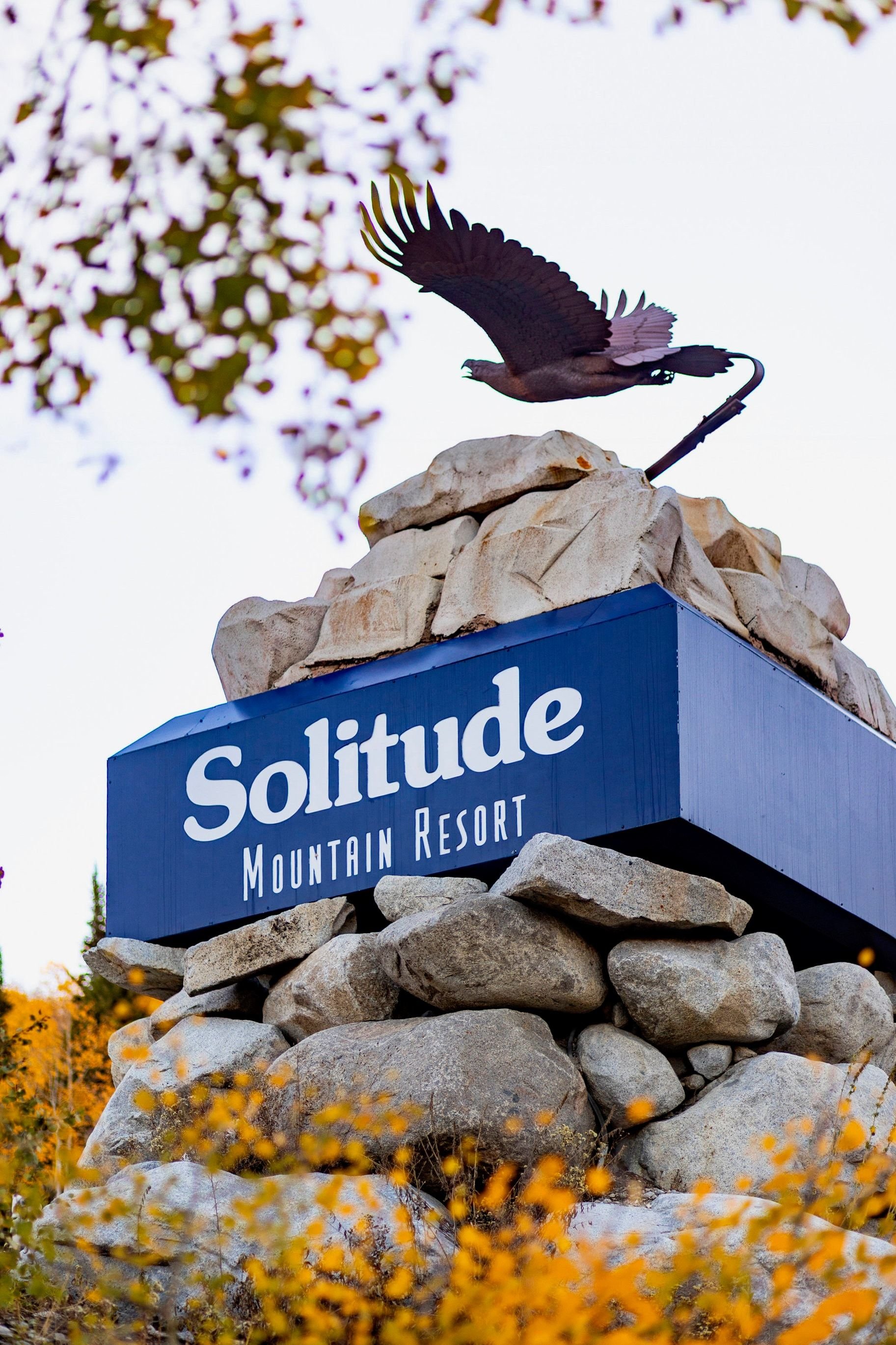  New Luxury Boutique Ski Condos at the Mouth of Big Cottonwood Canyon - 物件實景