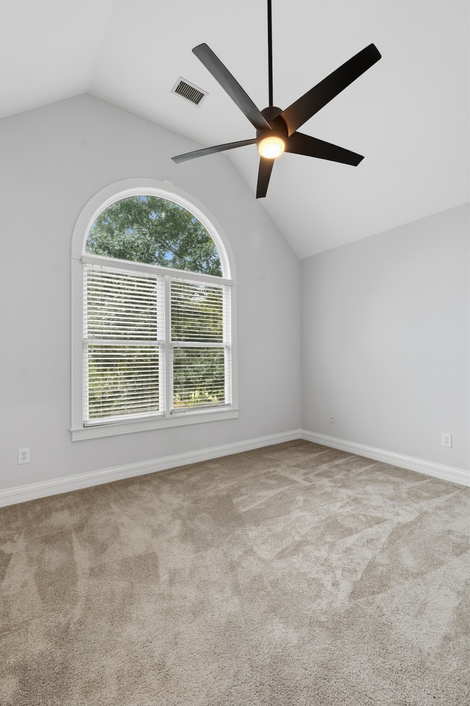  156 North Berwick Lane, Franklin, TN 37069 - 物件實景