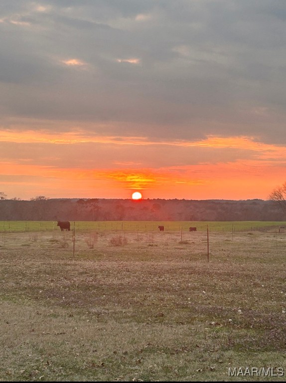 Enterprise, Alabama, 36330, United States, 4 Bedrooms Bedrooms, ,4 BathroomsBathrooms,Residential,For Sale,1778541