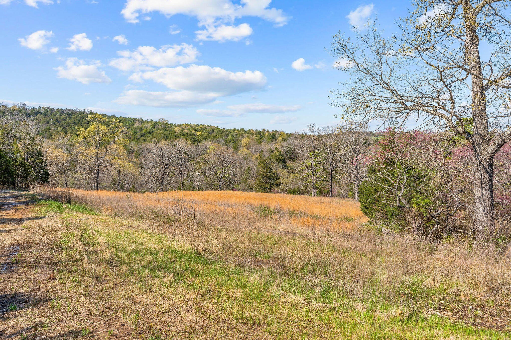 Kirbyville, Missouri, 65679, United States, ,Land,For Sale,1978892