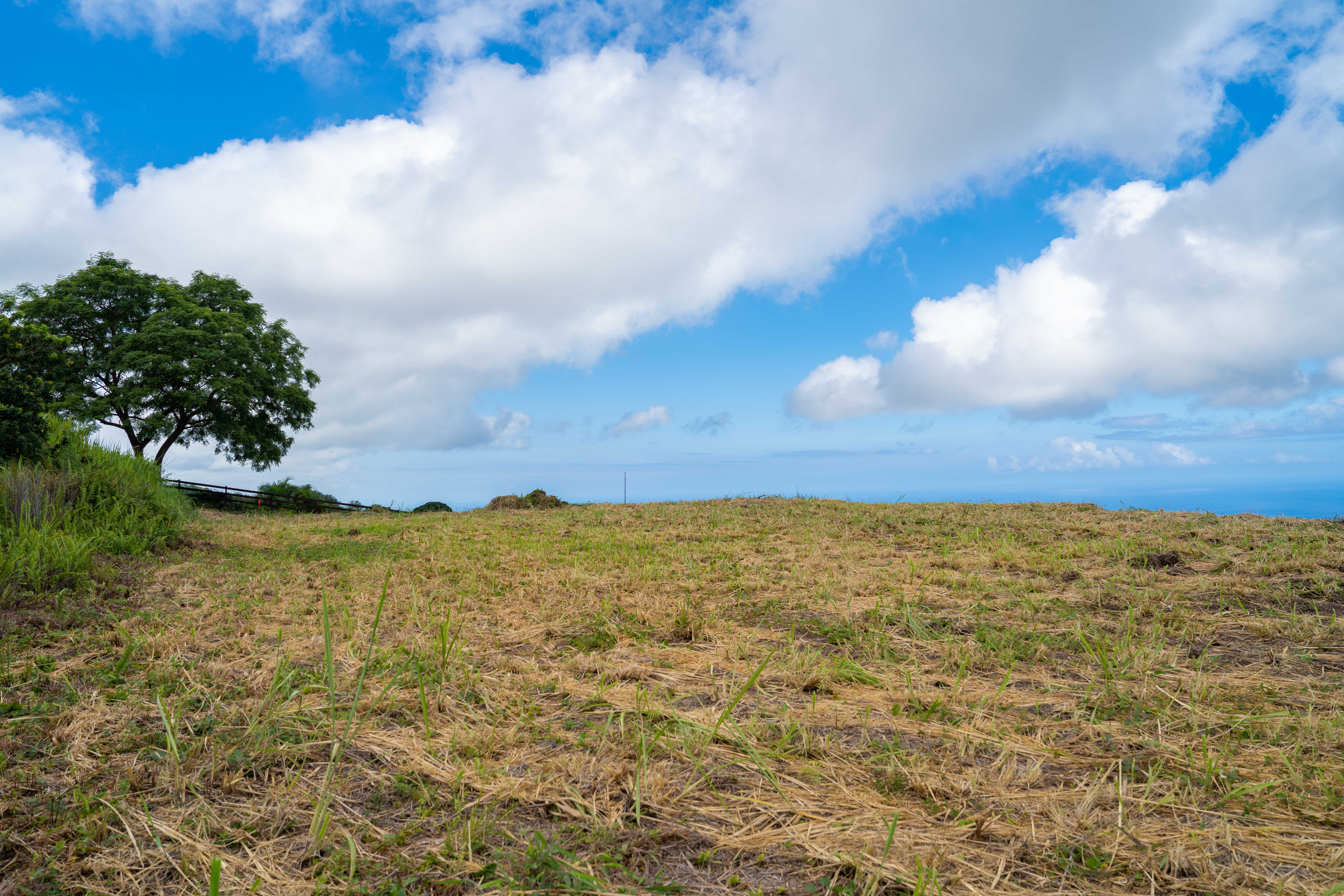 Kailua Kona, Hawaii, 96740, United States, ,Land,For Sale,1993447