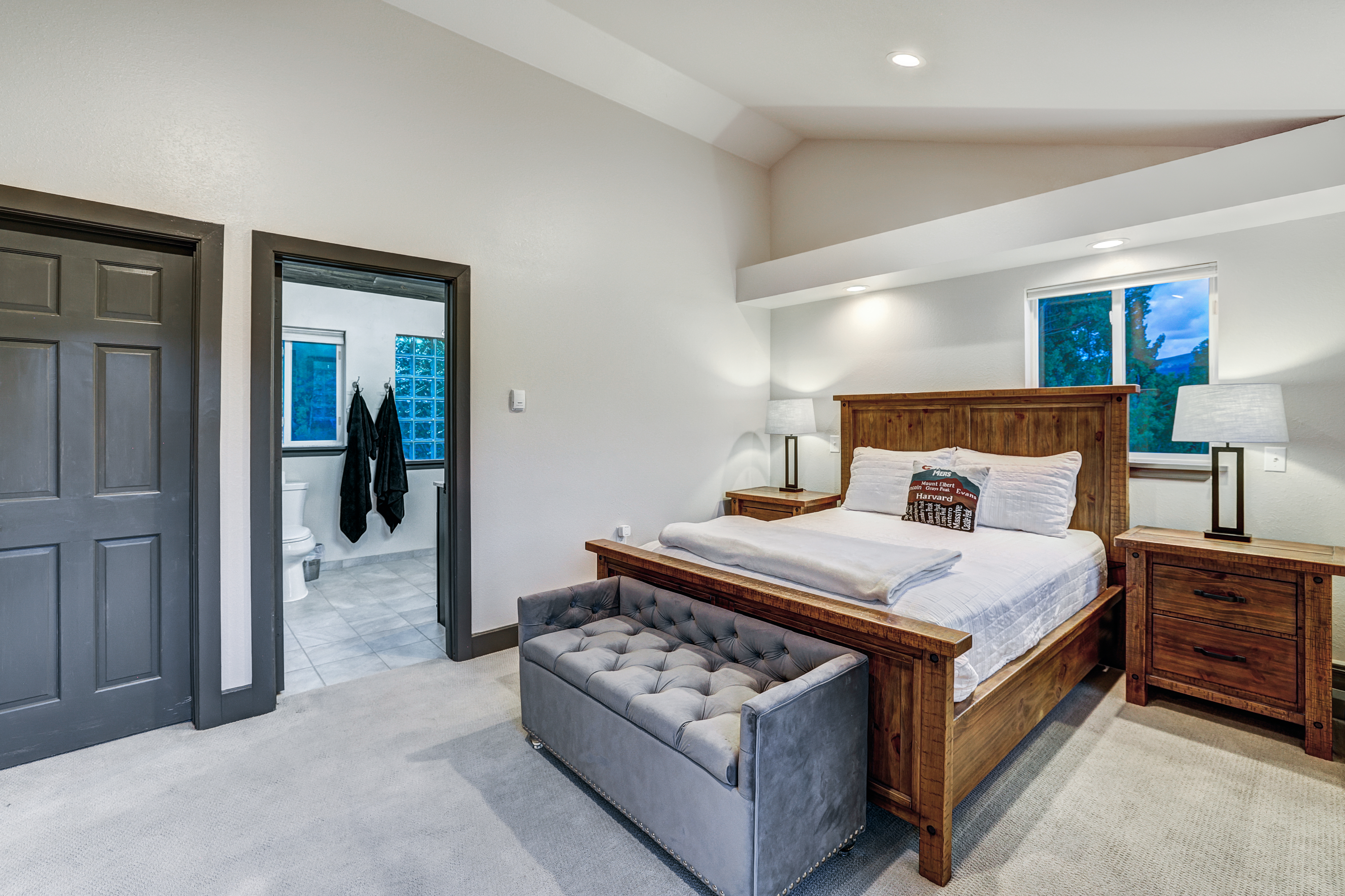  1095 Quartzville,Alma, CO, 80420 - 物件實景