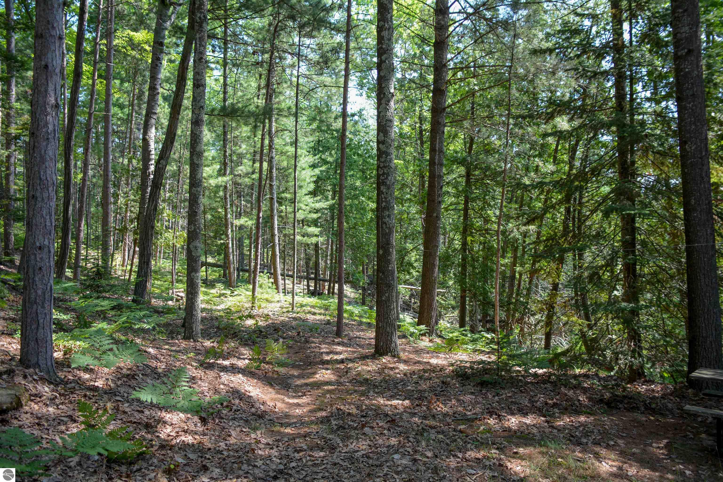 Rapid City, Michigan, 49676, United States, 1 Bedroom Bedrooms, ,Residential,For Sale,1960955