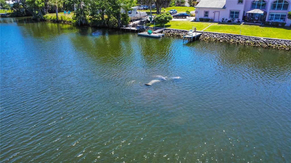 Crystal River, Florida, 34428, United States, 3 Bedrooms Bedrooms, ,2 BathroomsBathrooms,Residential,For Sale,1840194