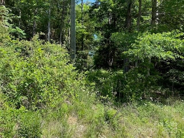 Mount Pleasant, North Carolina, 28124, United States, ,Residential,For Sale,1880803
