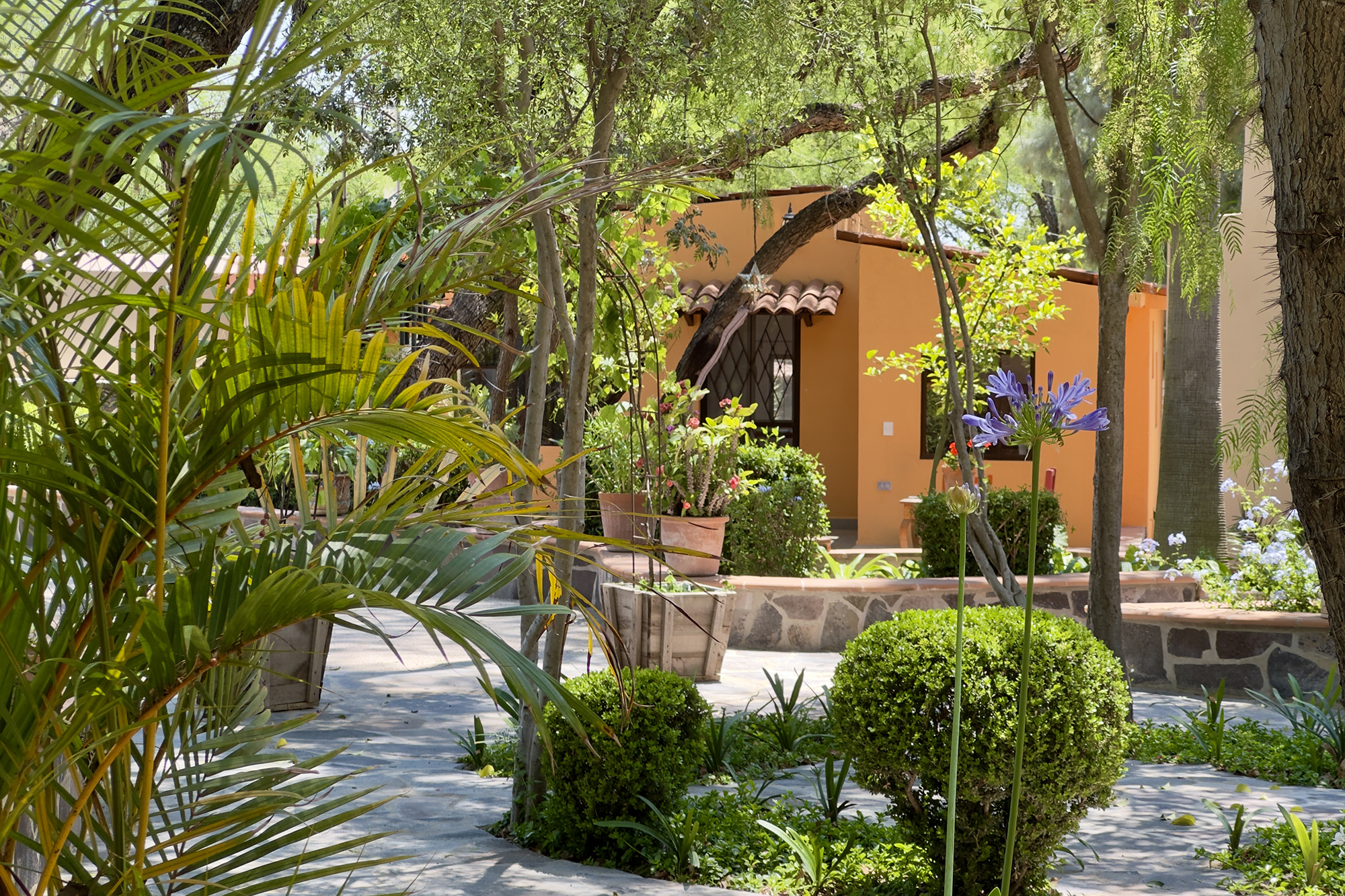  Casa Ciene - 物件實景