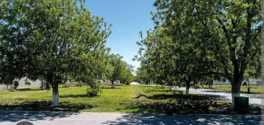 Azafran, Torreón, Coahuila de Zaragoza, 27400, Mexico, 1 Bedroom Bedrooms, ,Residential,For Sale,Azafran,1672685