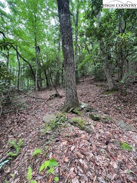 Purlear, North Carolina, 28665, United States, ,Land,For Sale,1990813