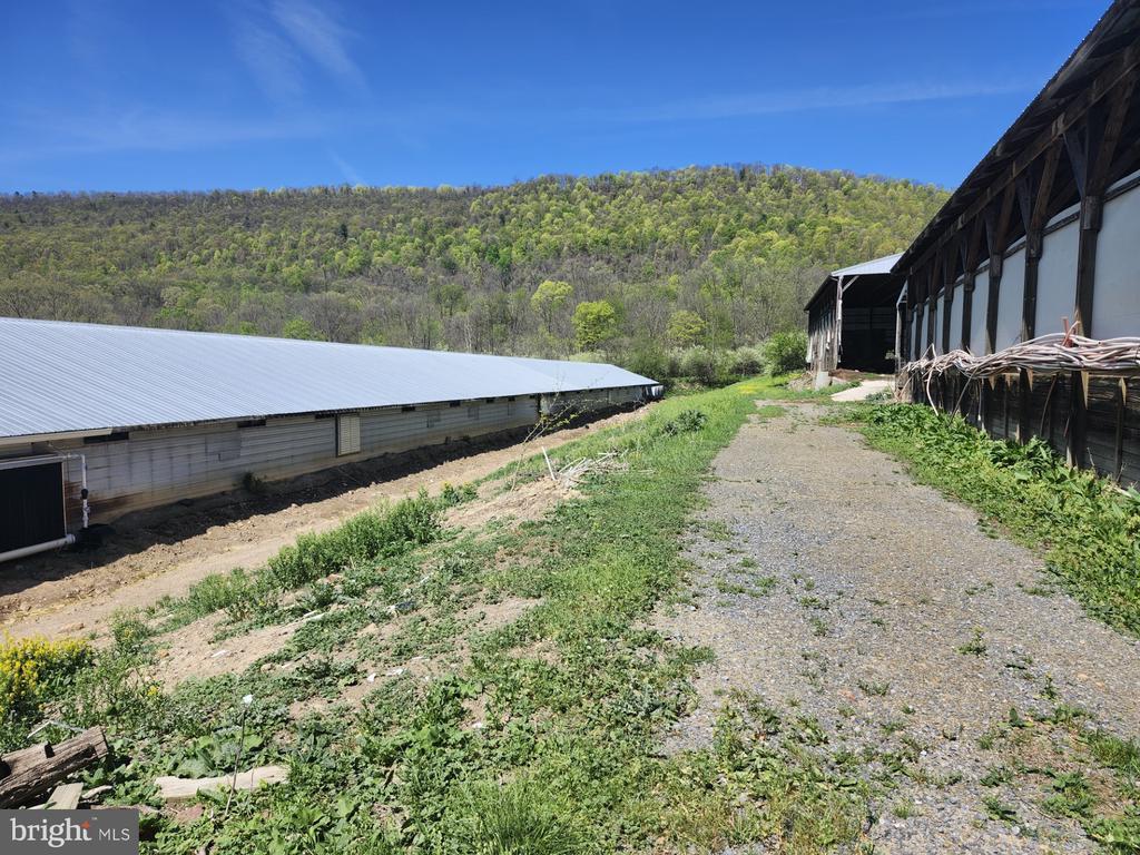 MAYSVILLE, West Virginia, 26833, United States, ,Residential,For Sale,1784747